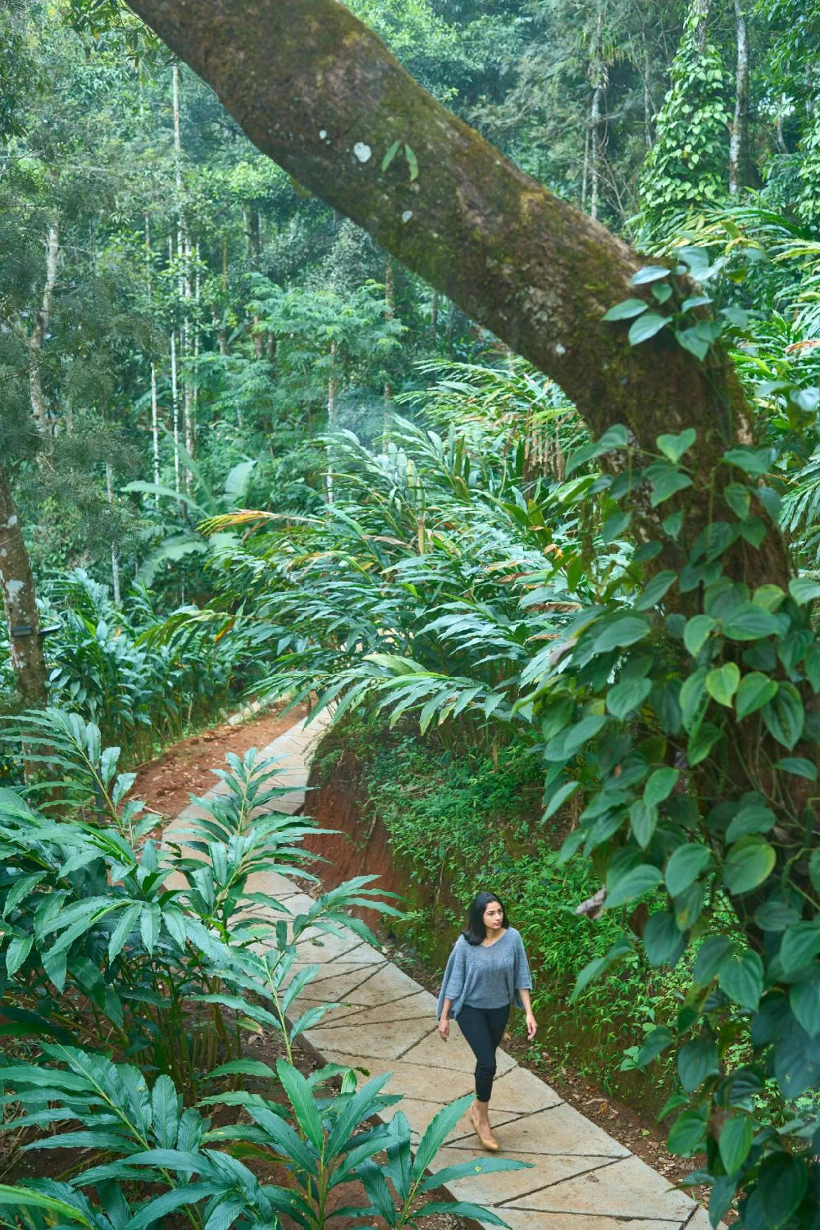 Eterno Camellia & Elettaria Resort with Pool