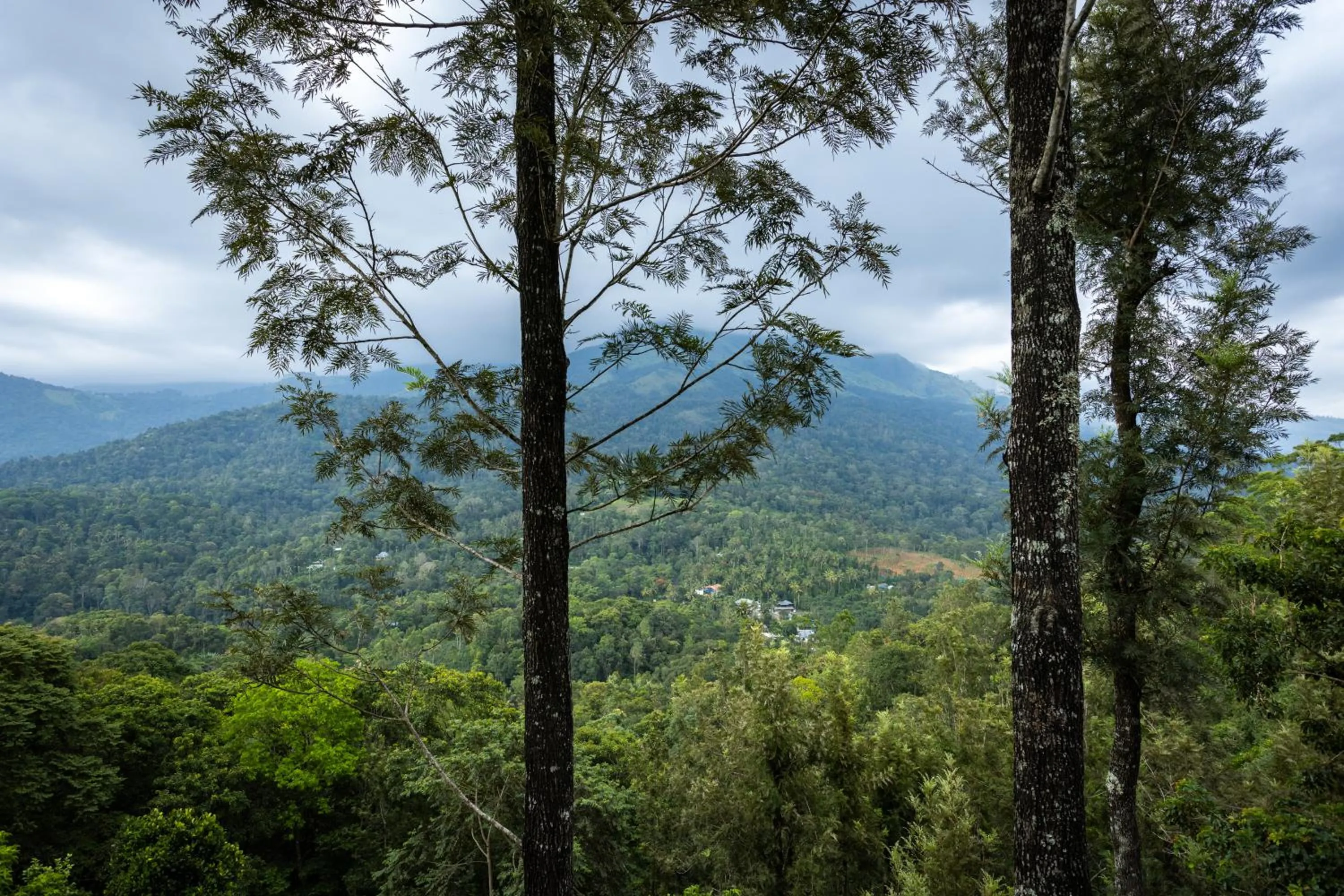 View (from property/room) in Eterno Camellia & Elettaria Resort with Pool