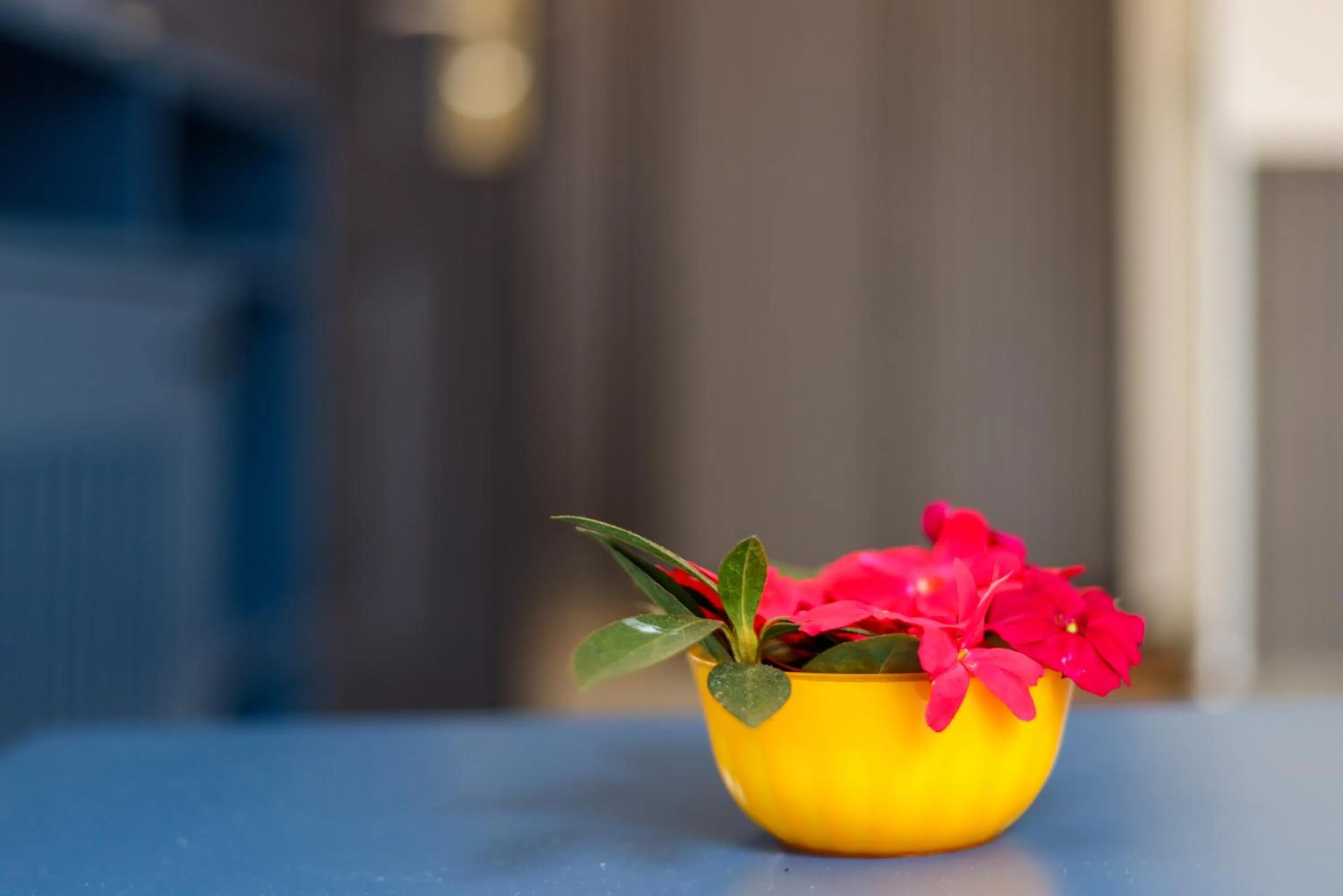 Property building in Eterno Camellia & Elettaria Resort with Pool