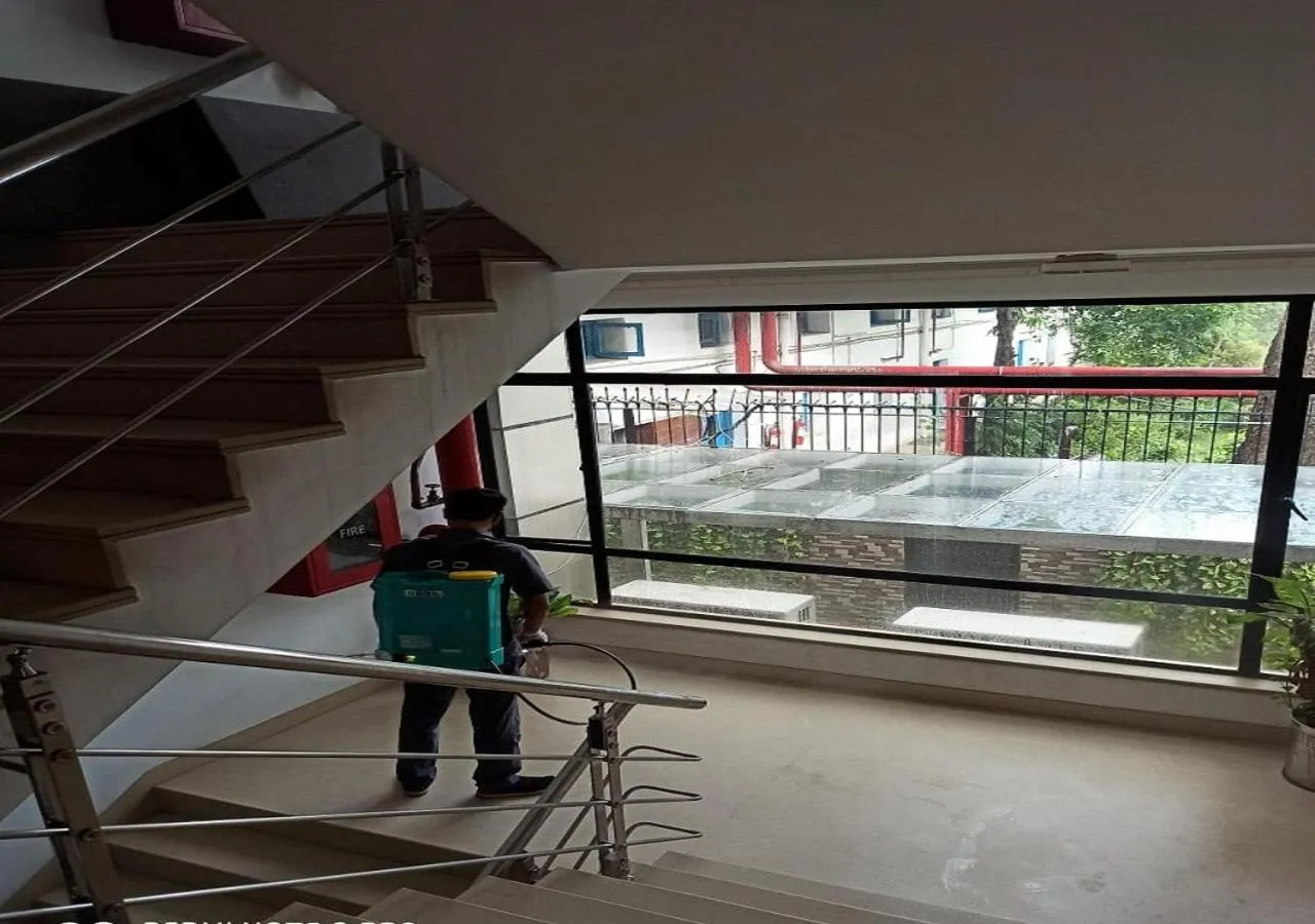 Activities in The CORPORATE