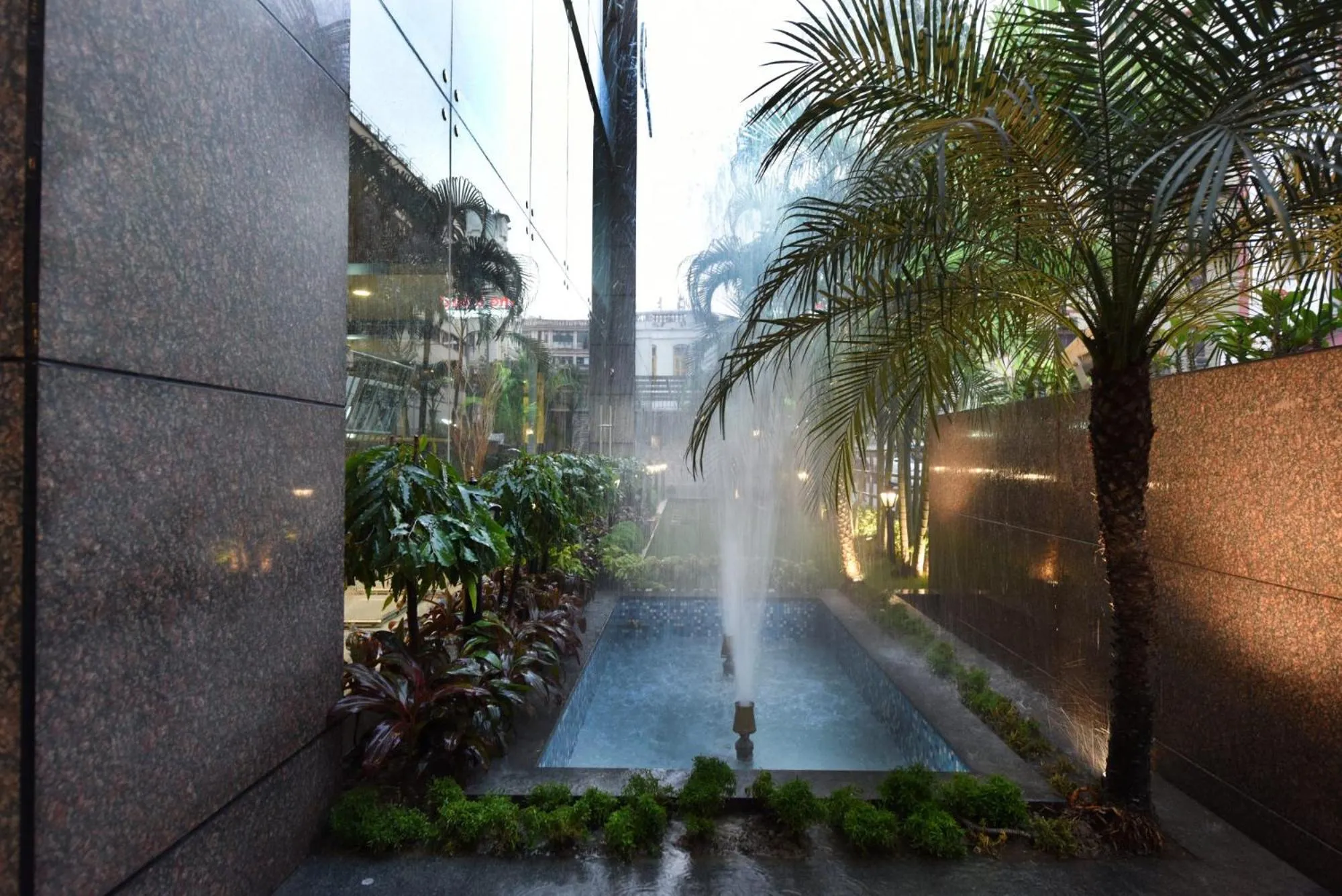 Garden in The CORPORATE