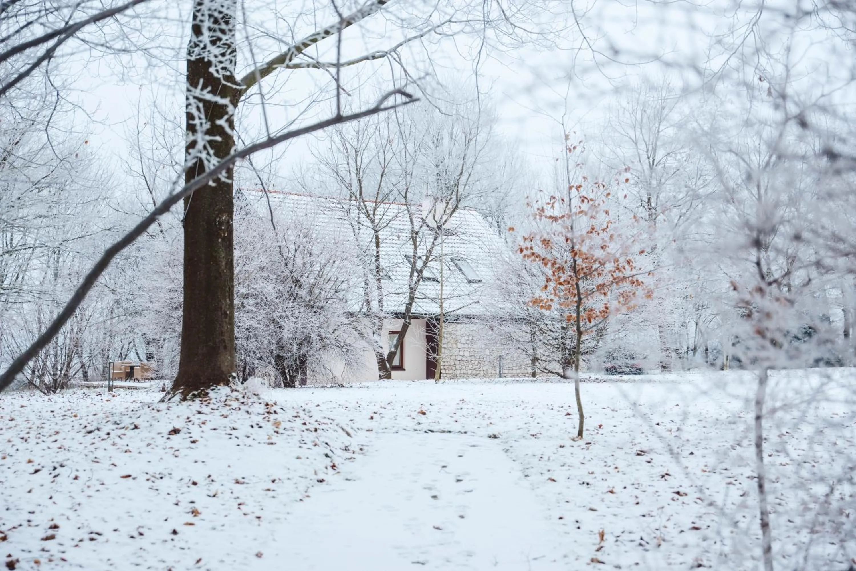 Natural landscape in Dwór w Tomaszowicach