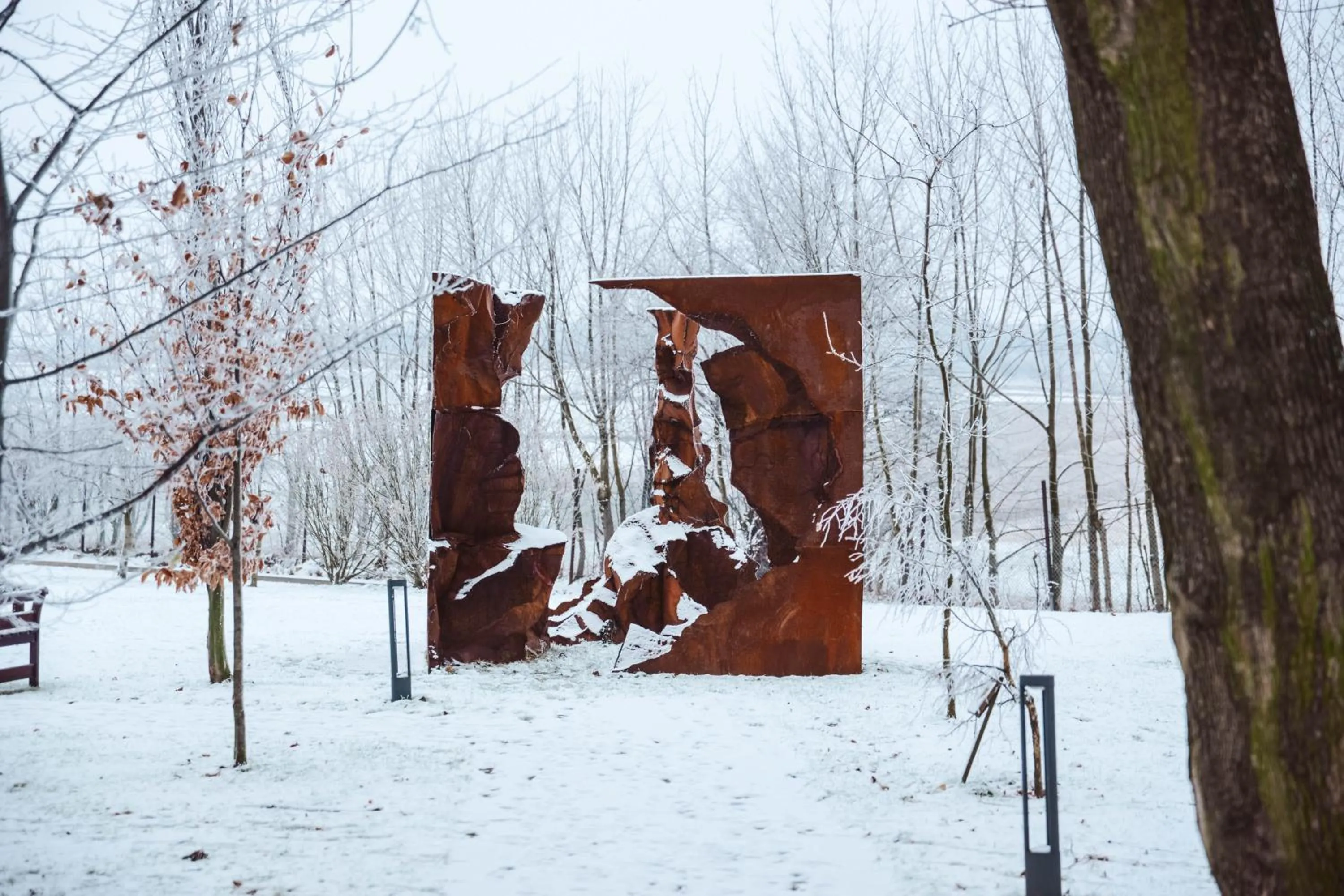 Natural landscape in Dwór w Tomaszowicach