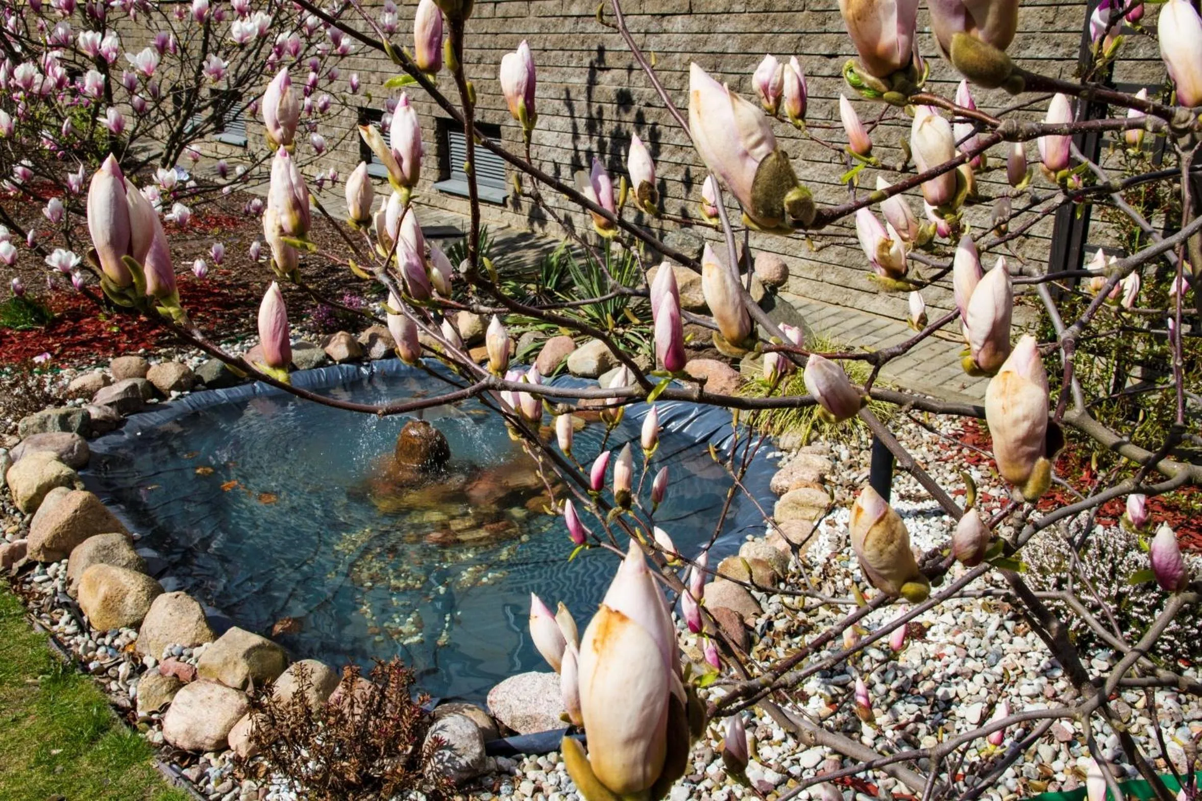 Property building in Warsaw Apartments Magnolie