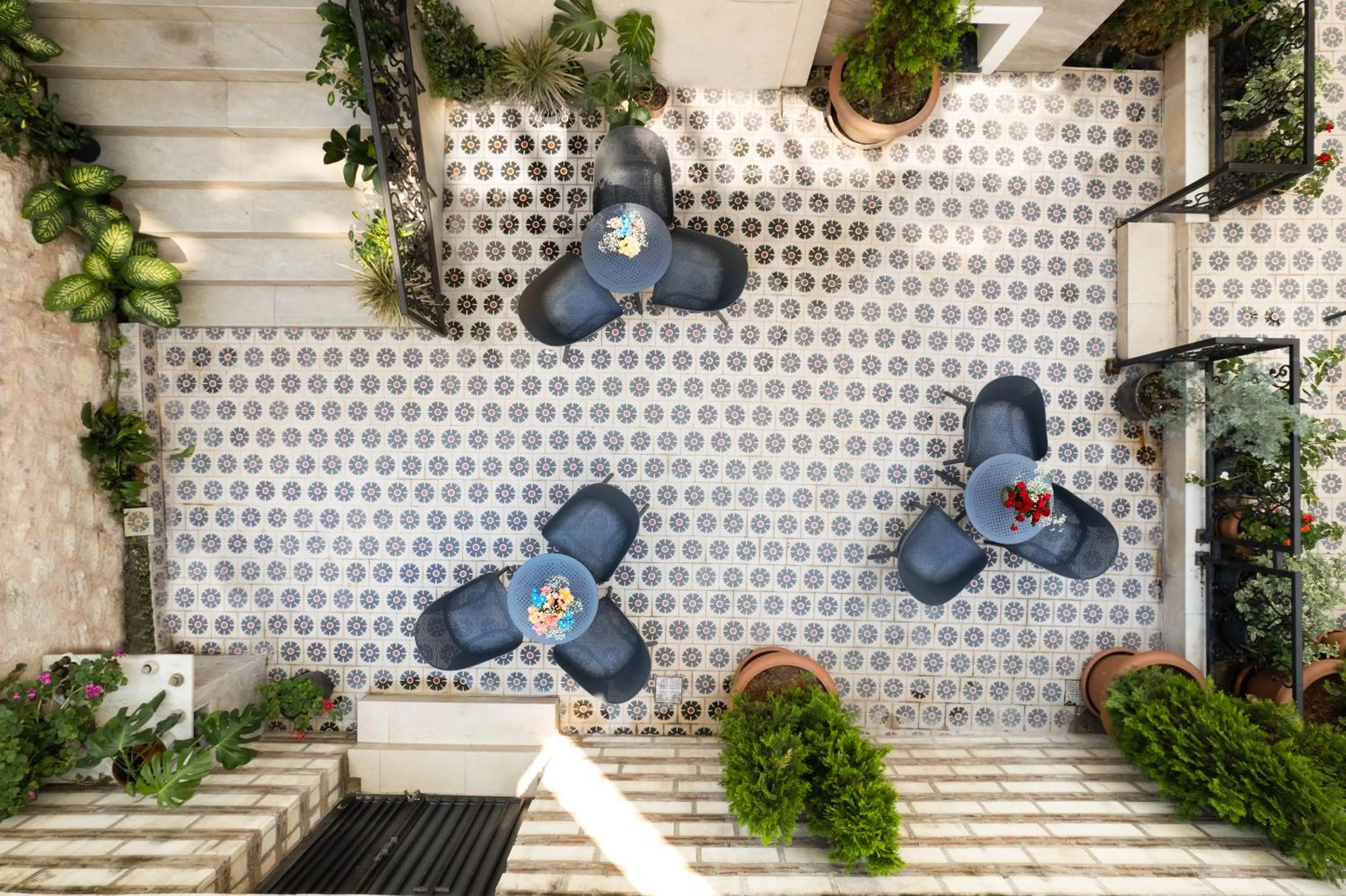 Garden in Imagine Hotel-Special Category