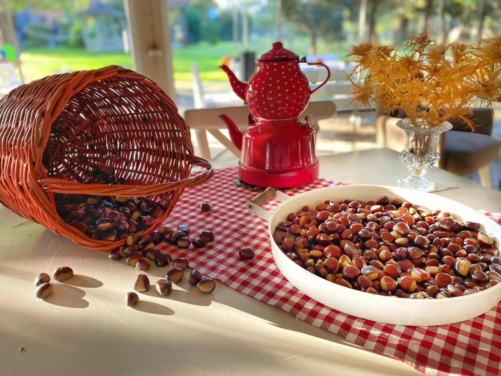 Restaurant/places to eat in Villa Kirkpinar Sapanca