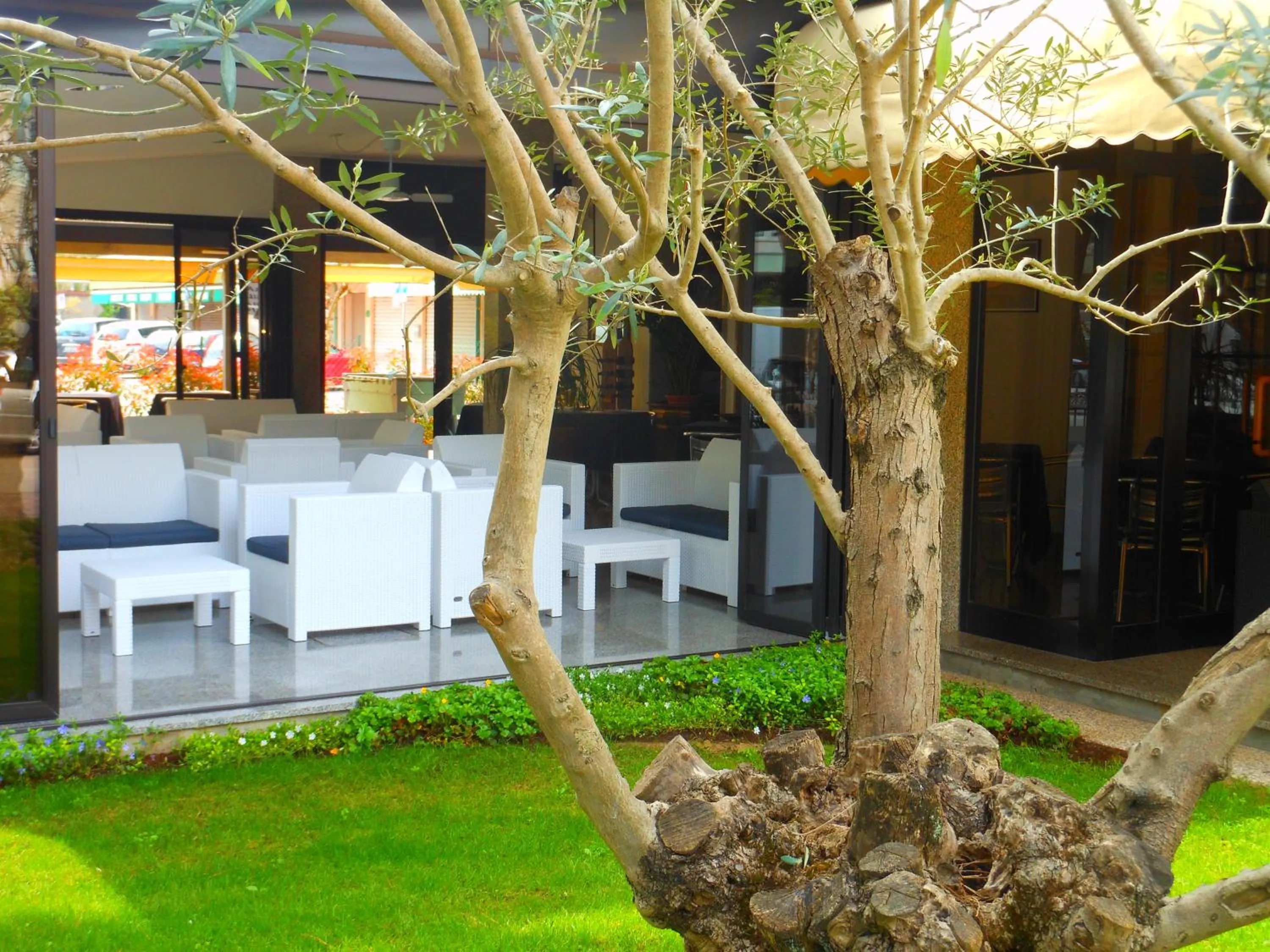 Garden in Hotel Jesolo Sand