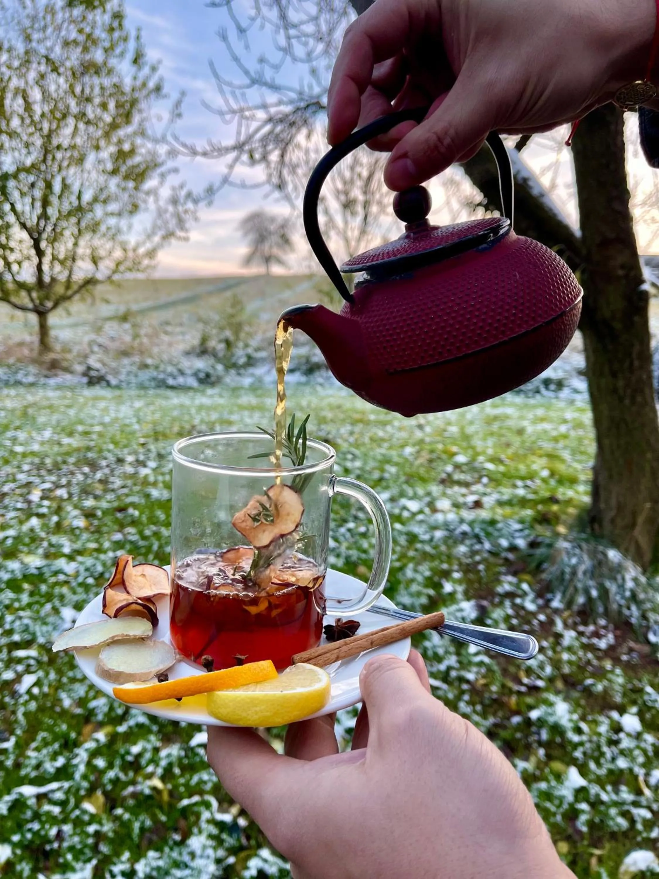 Winter in Villa Greta