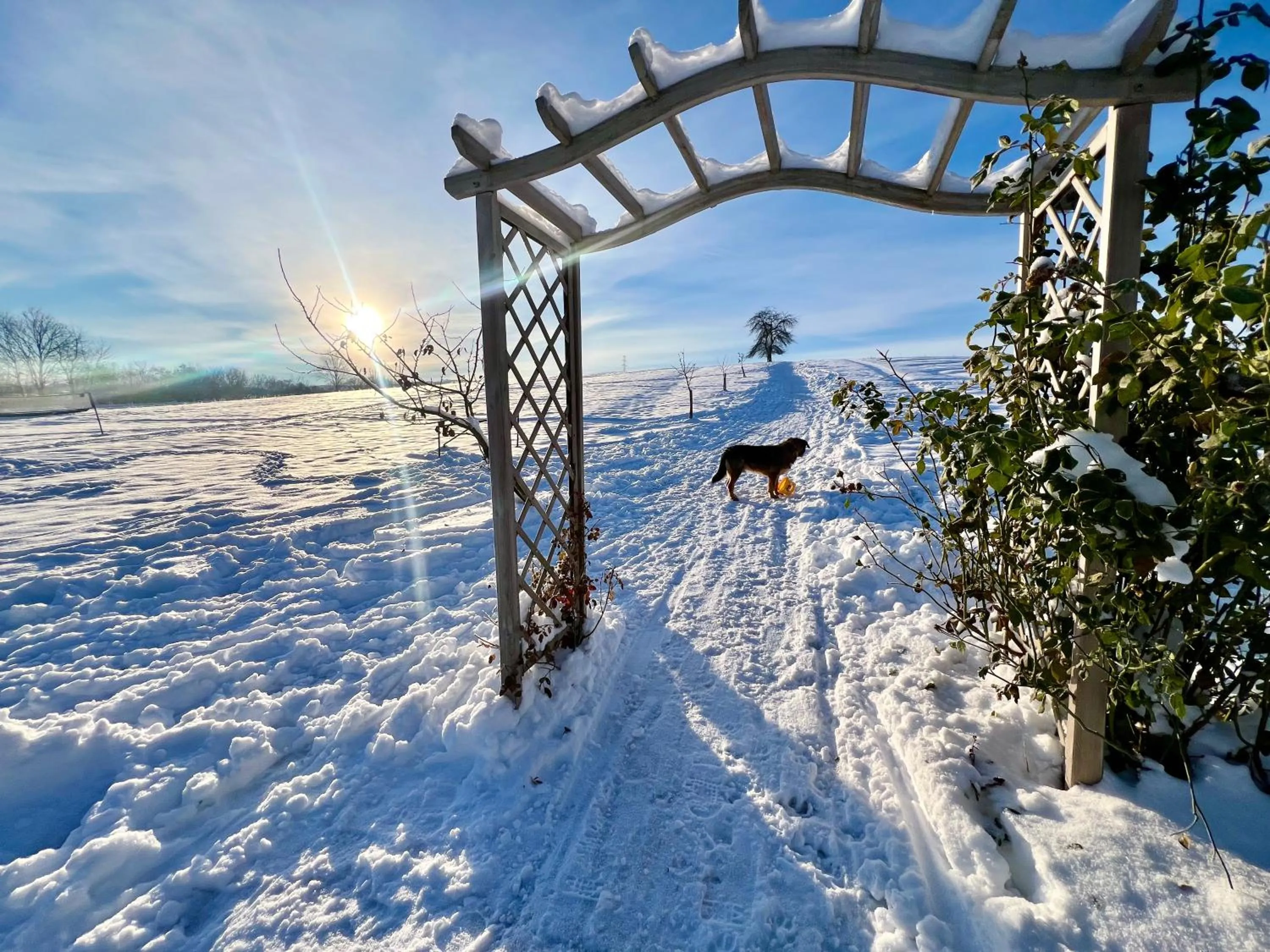 Windsurfing in Villa Greta