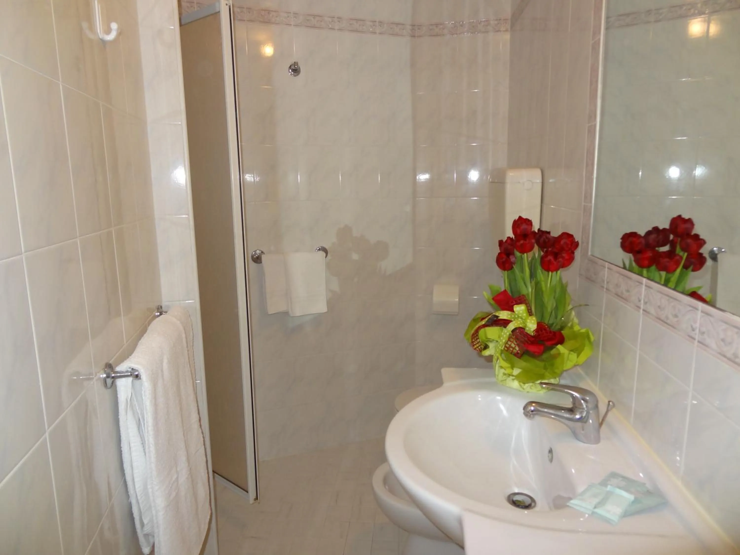 Shower in Hotel Jumbo