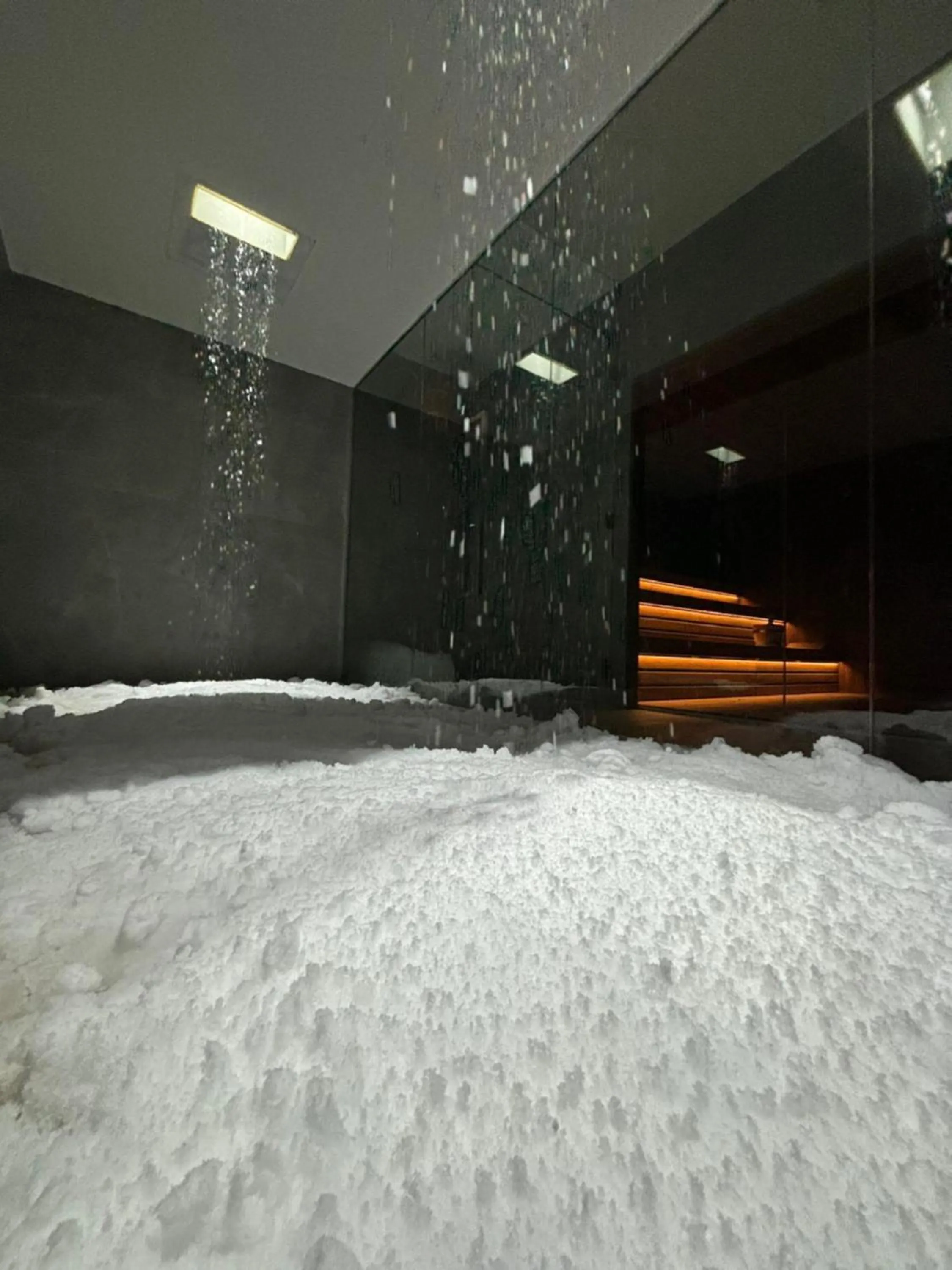 Spa and wellness centre/facilities in Hotel Lemi