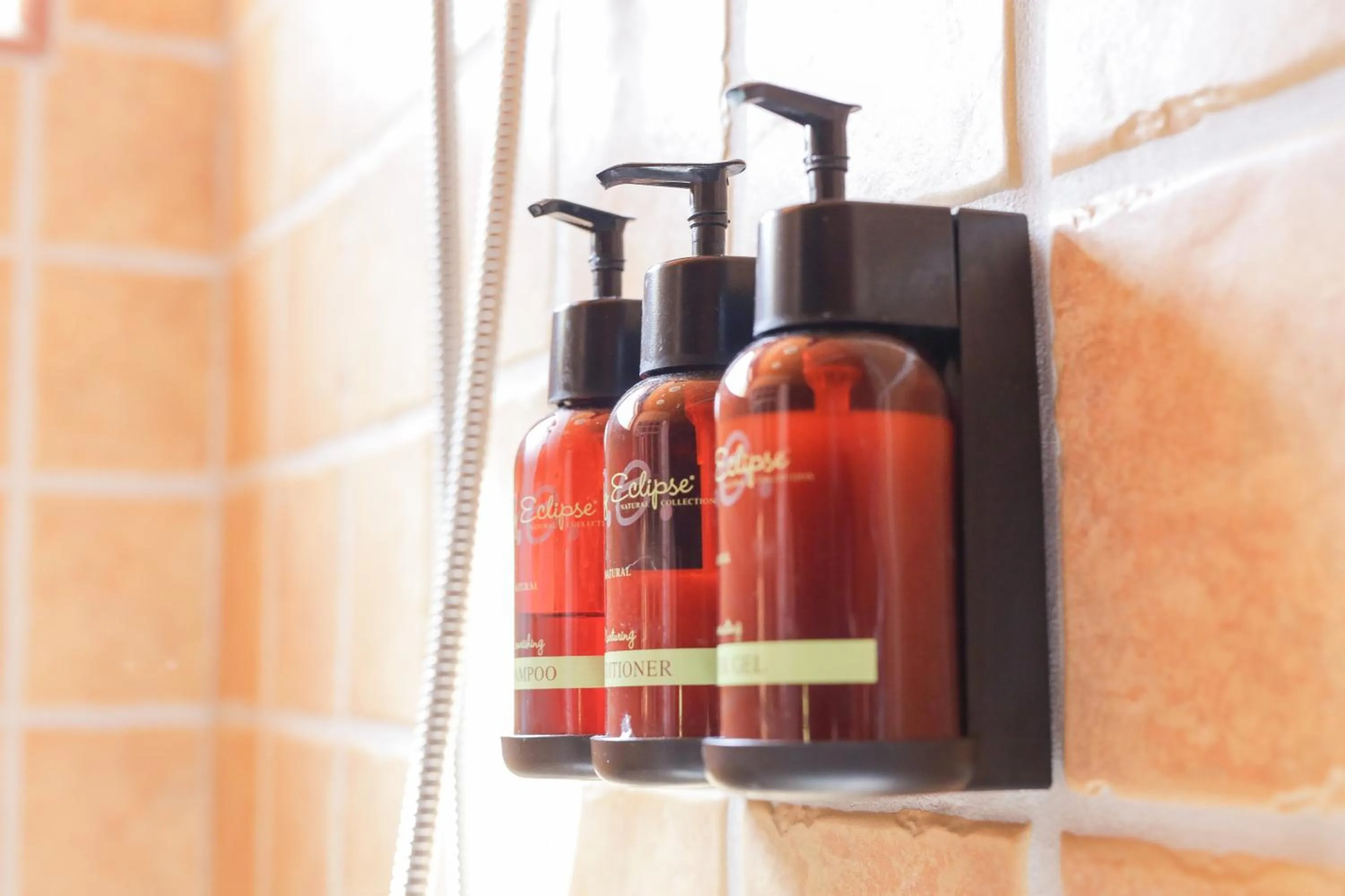 Shower in Gold Mountain Manor