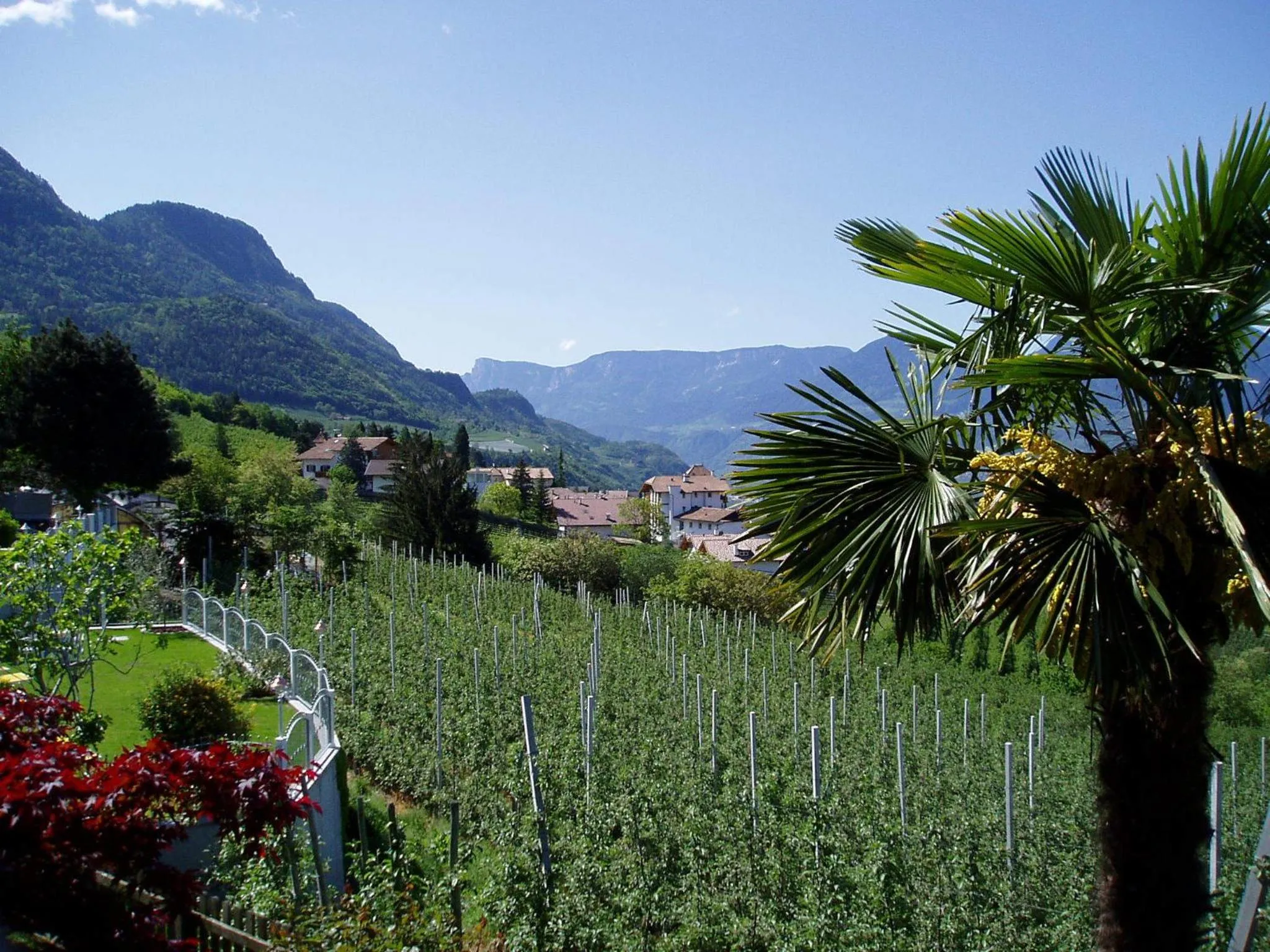 Mountain view in Appartements Dornach