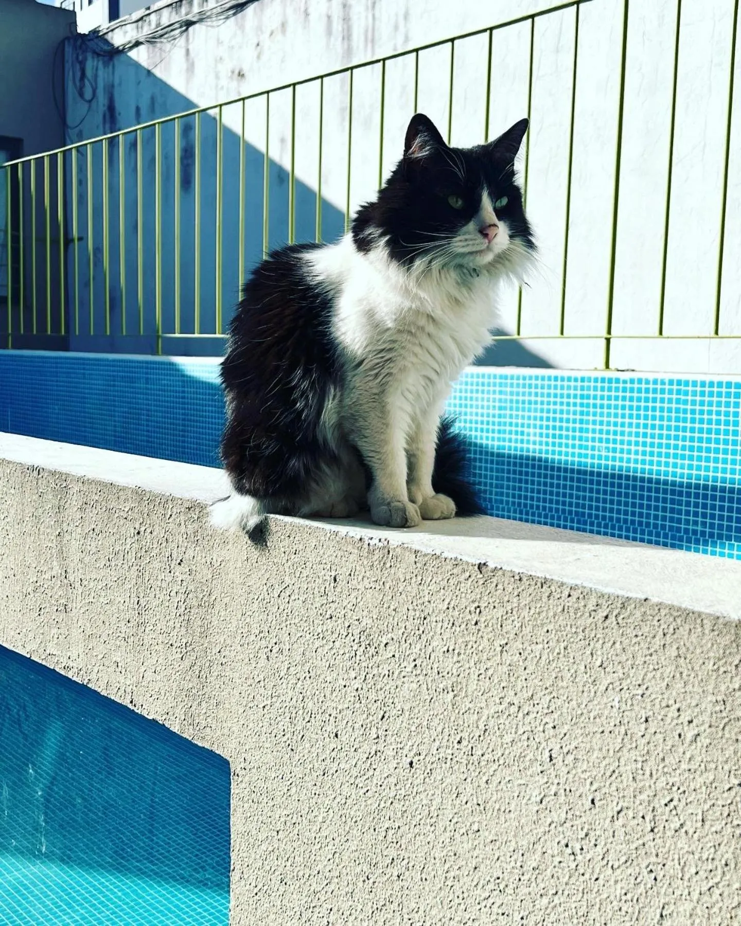 Marcel de Buenos Aires