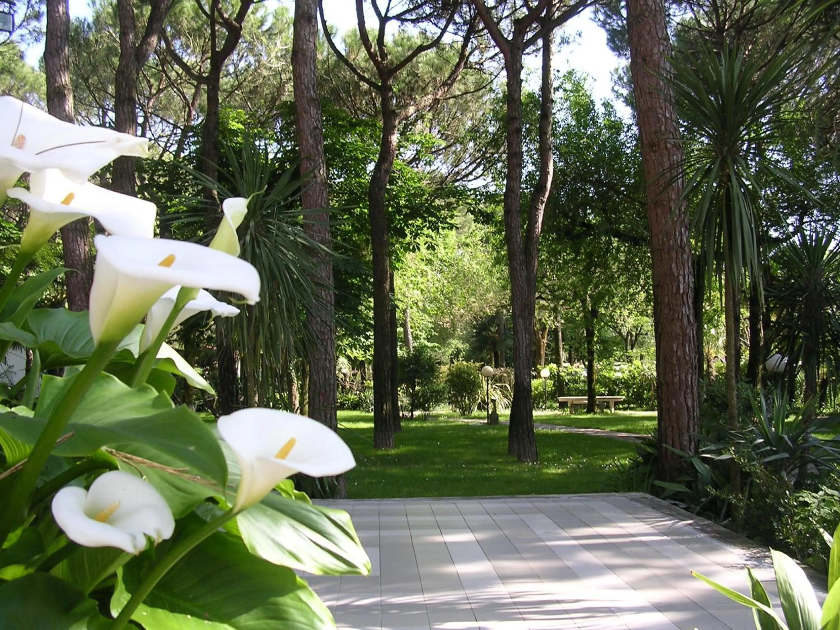 Garden in Hotel Valdor
