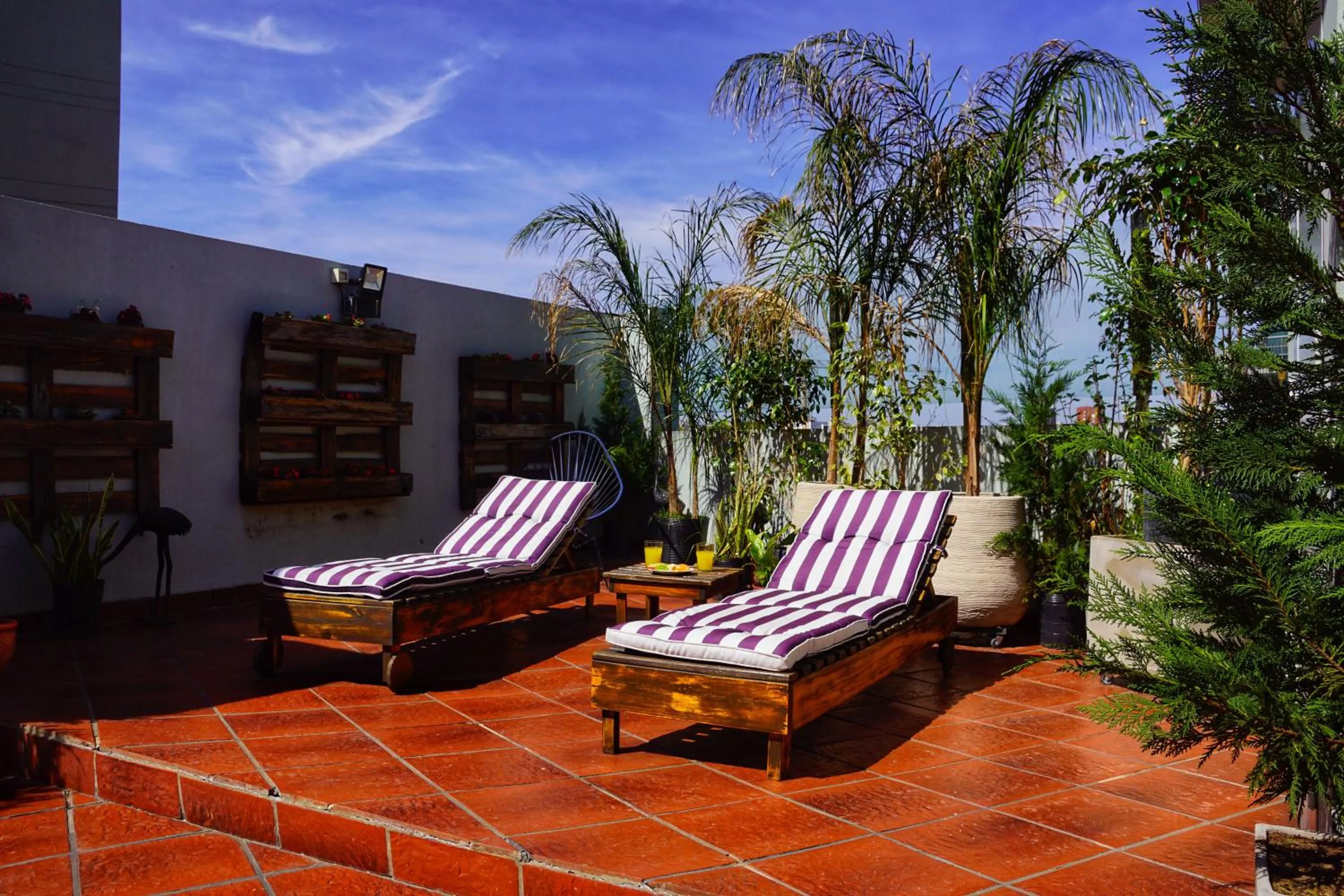 Balcony/Terrace in Shoshana Hotel Boutique
