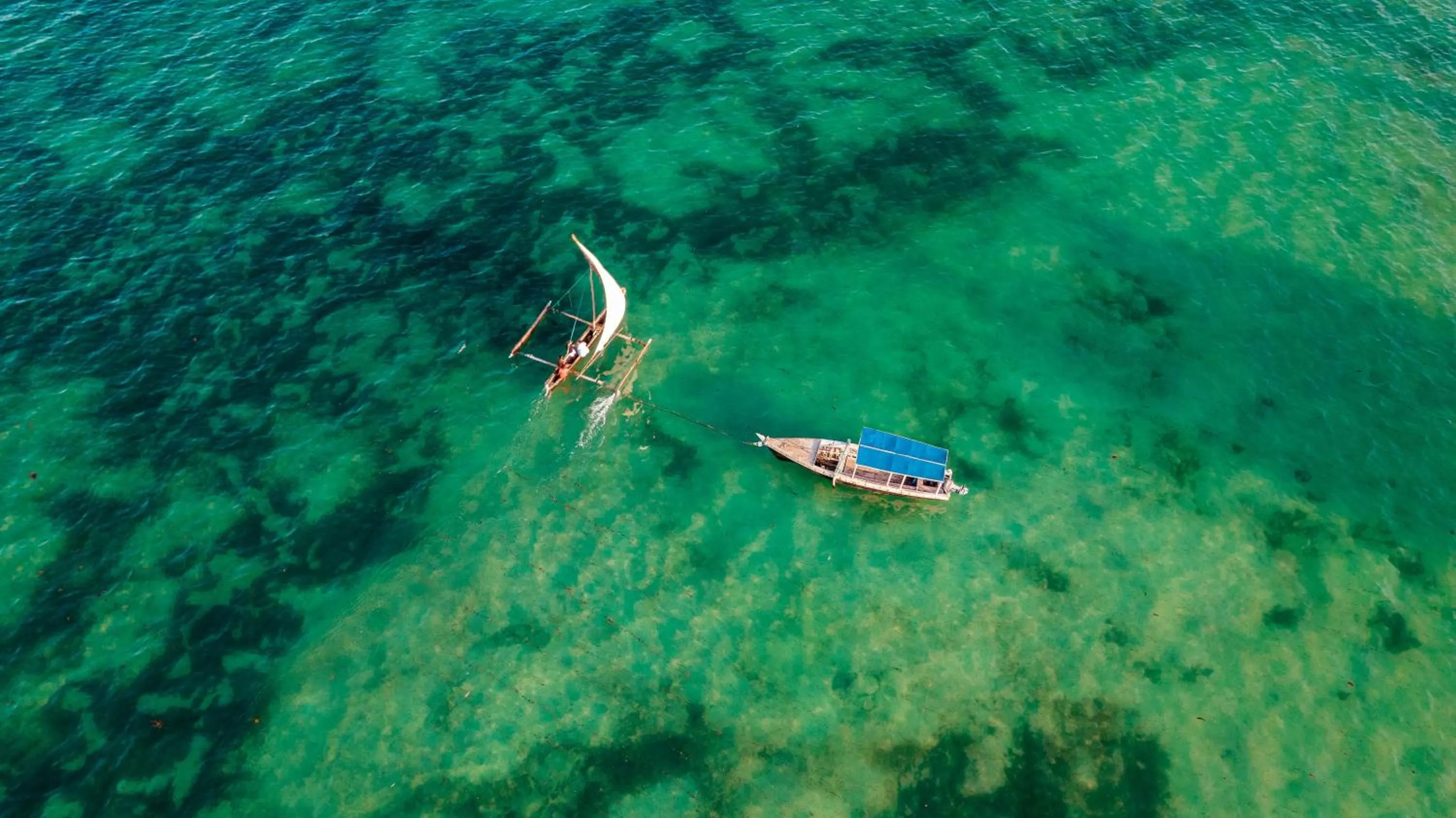 Other in Spice Island Hotel & Resort