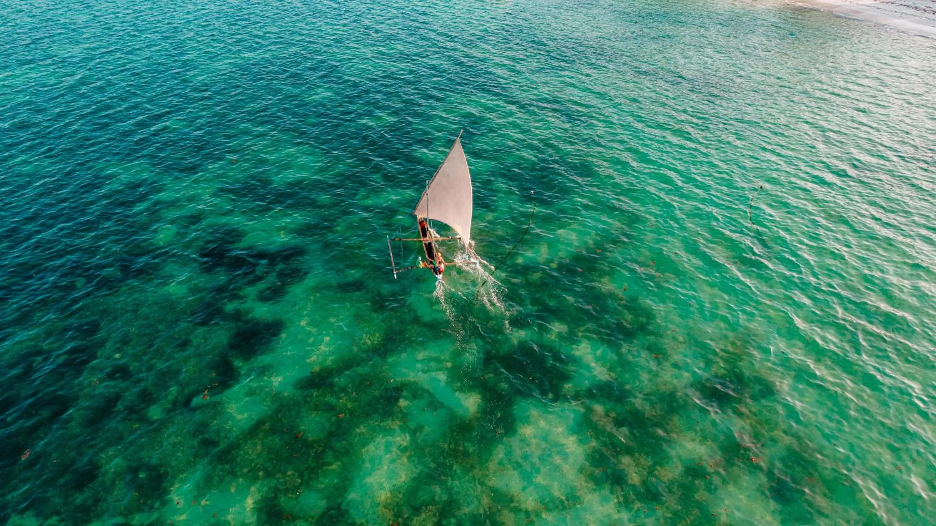 Activities in Spice Island Hotel & Resort