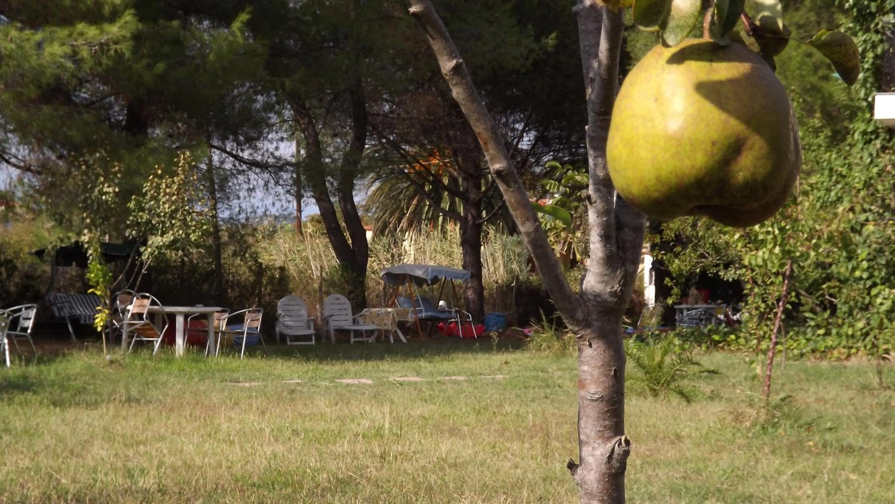 Pefka Studios & Apartments