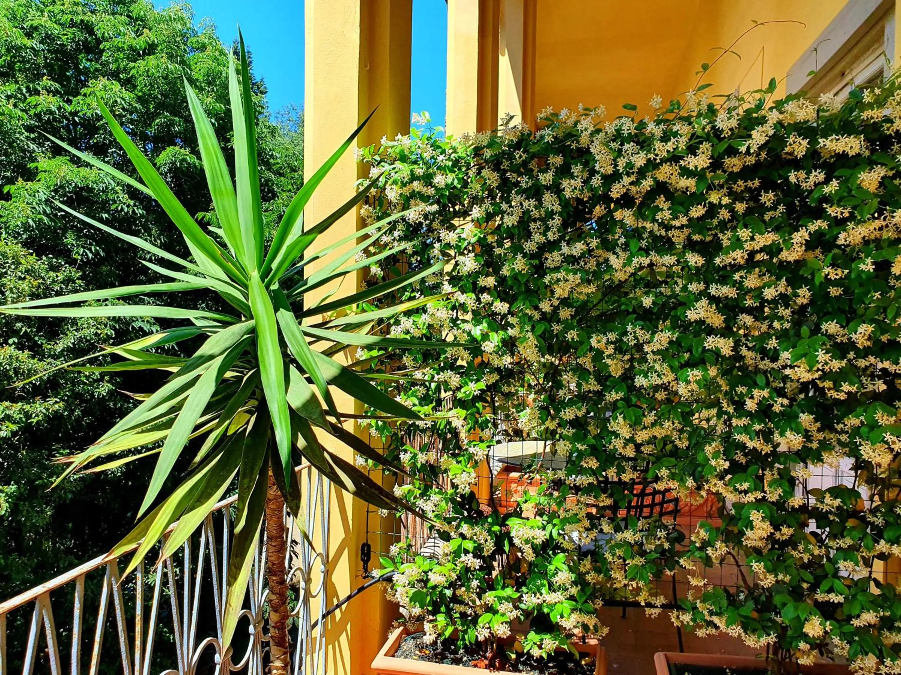 Garden in Hotel Annalena