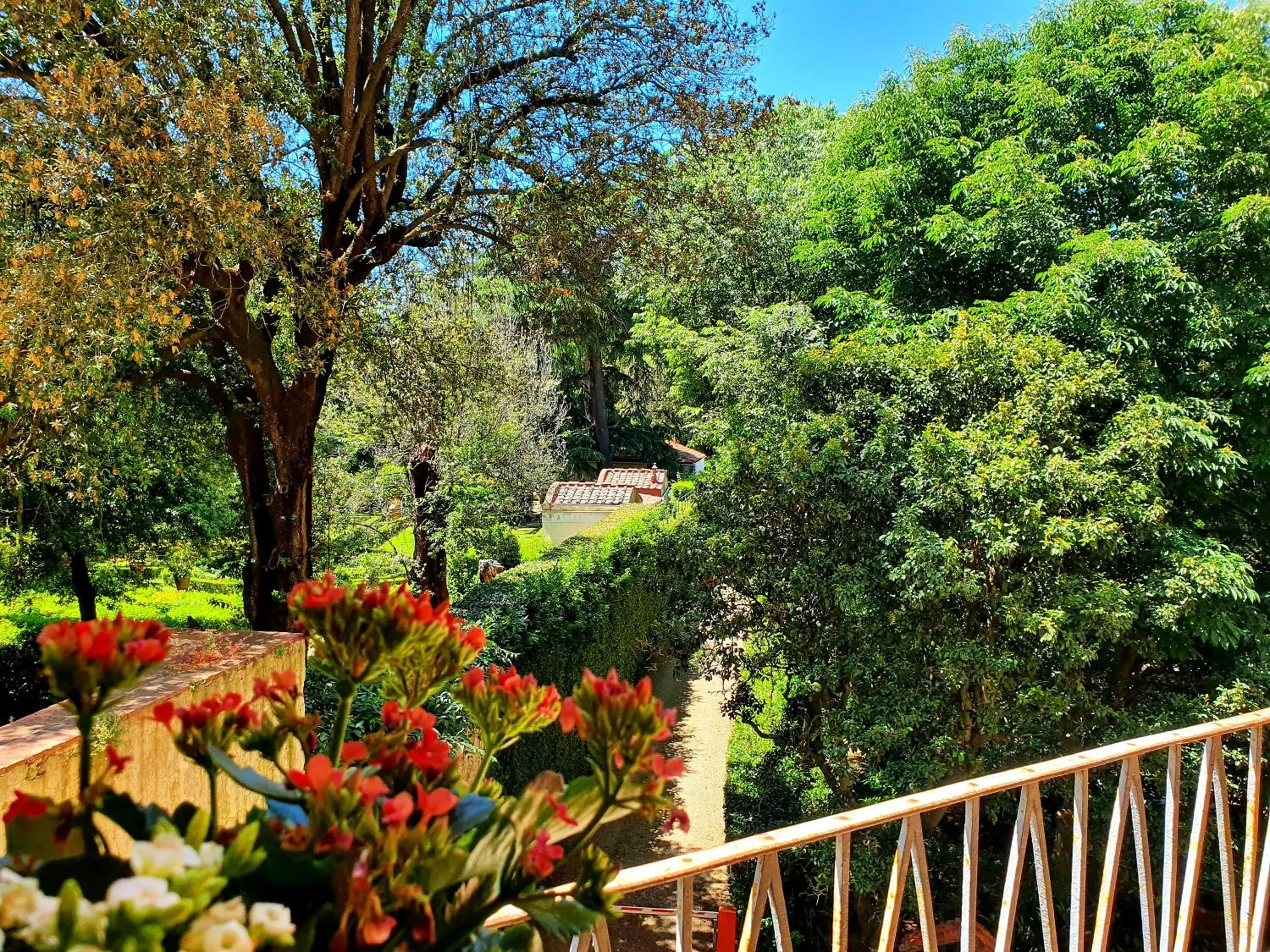 Garden in Hotel Annalena