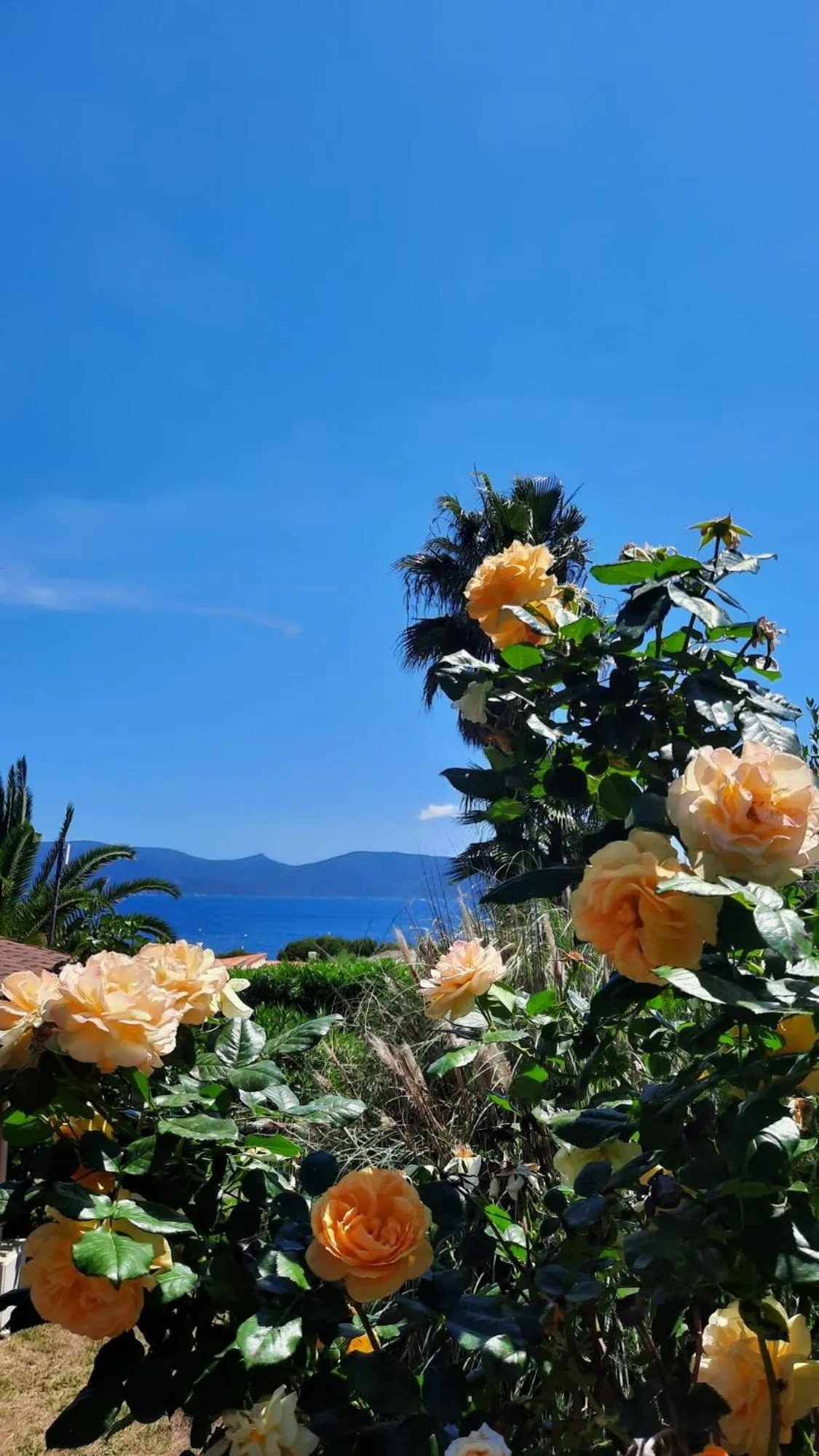 Natural landscape in Mare E Monti