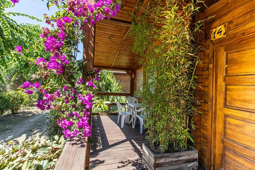 Balcony/Terrace in Mare E Monti