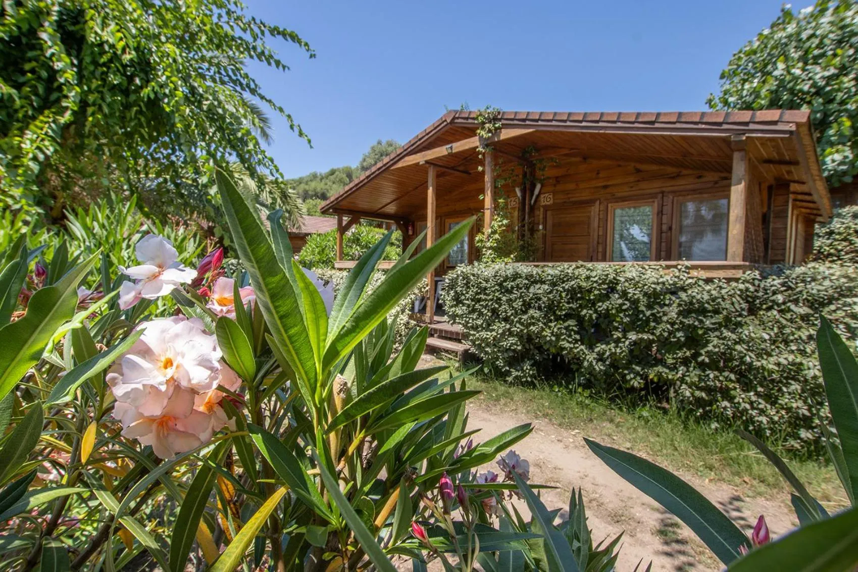 Patio in Mare E Monti