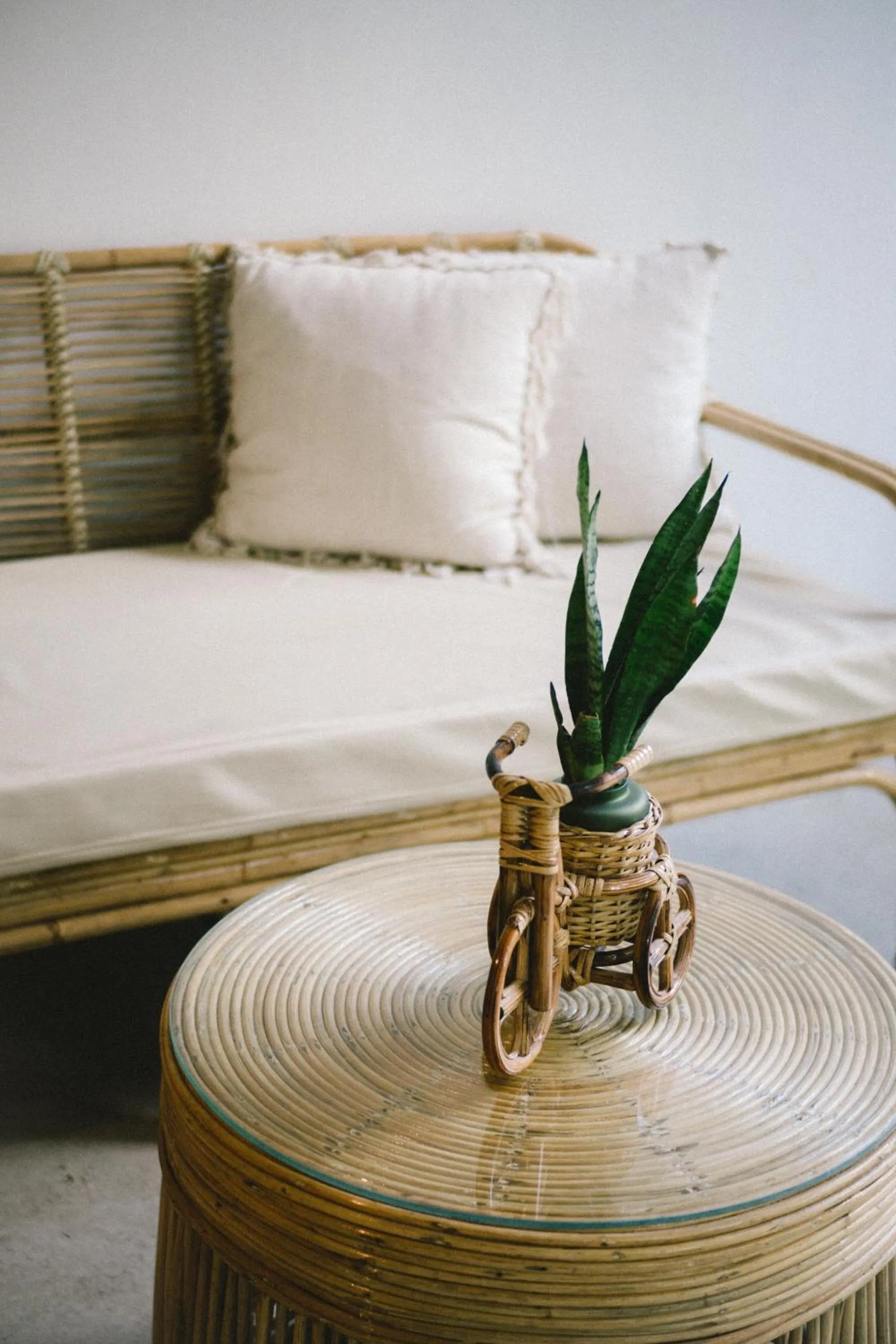 Lobby or reception in Bahala Na Villas