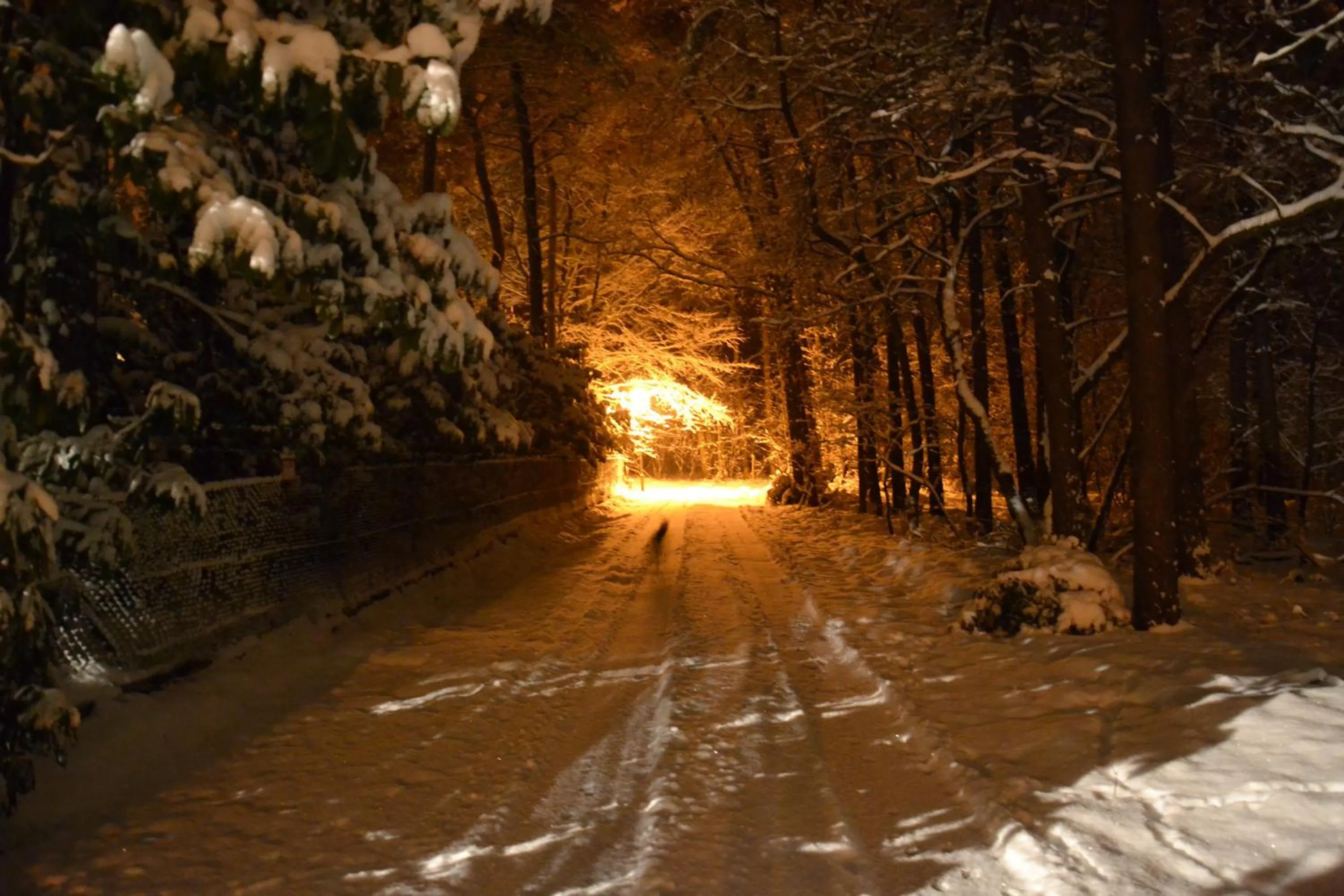 Winter in B&B Wepa-hof