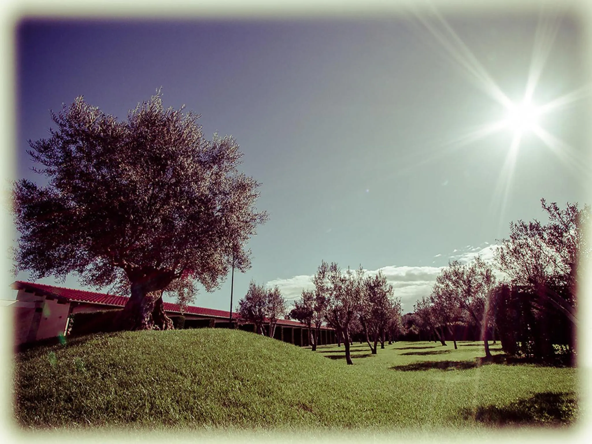 Property building in All Ways Garden Hotel & Leisure