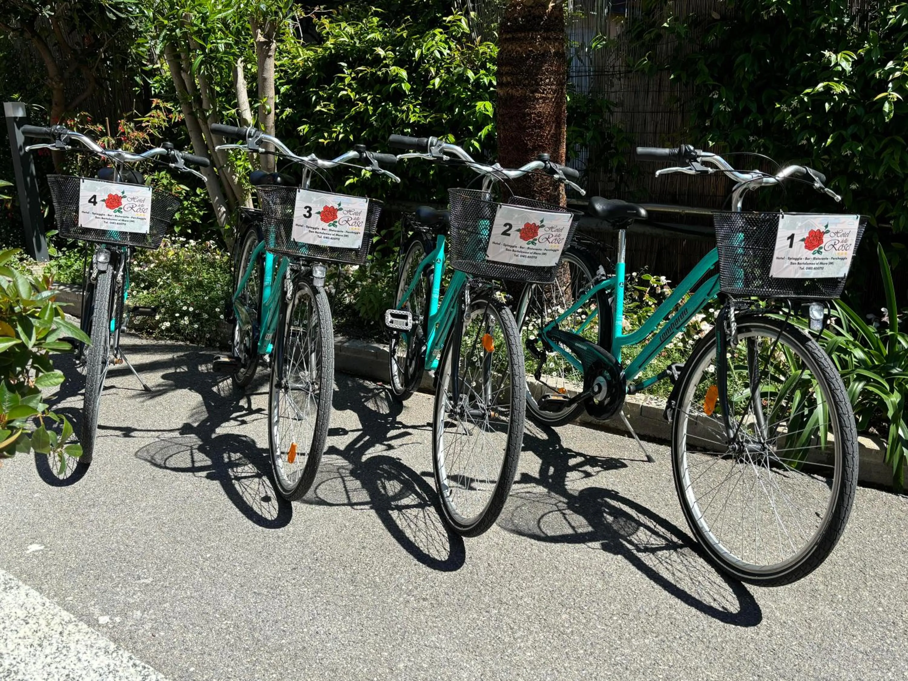 Cycling in Hotel Delle Rose