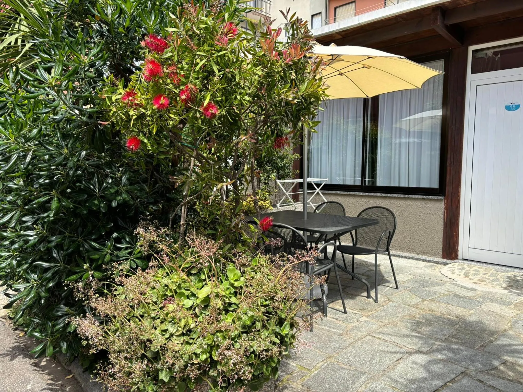 Garden in Hotel Delle Rose