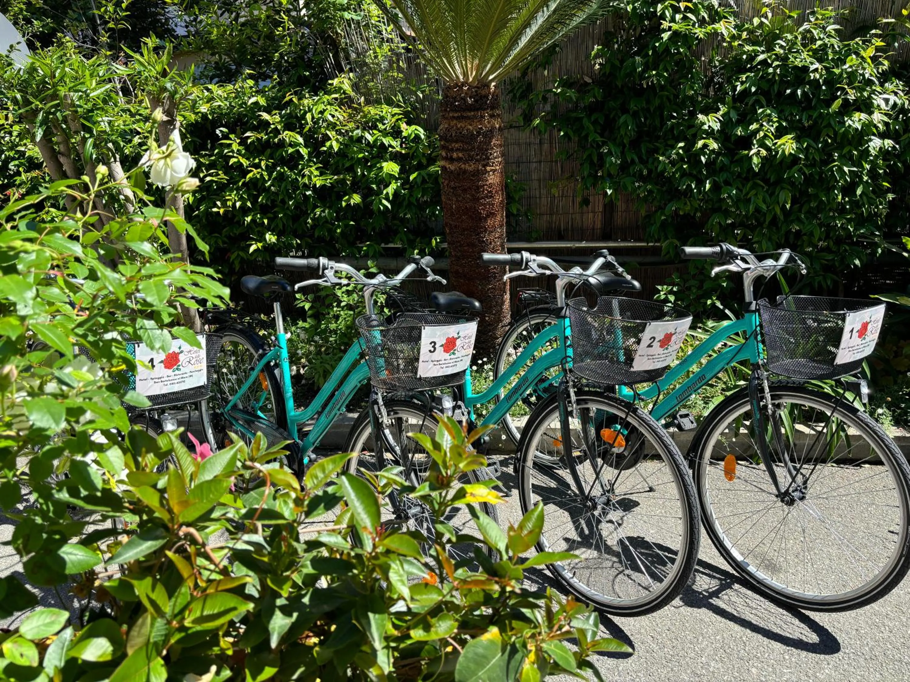 Cycling in Hotel Delle Rose