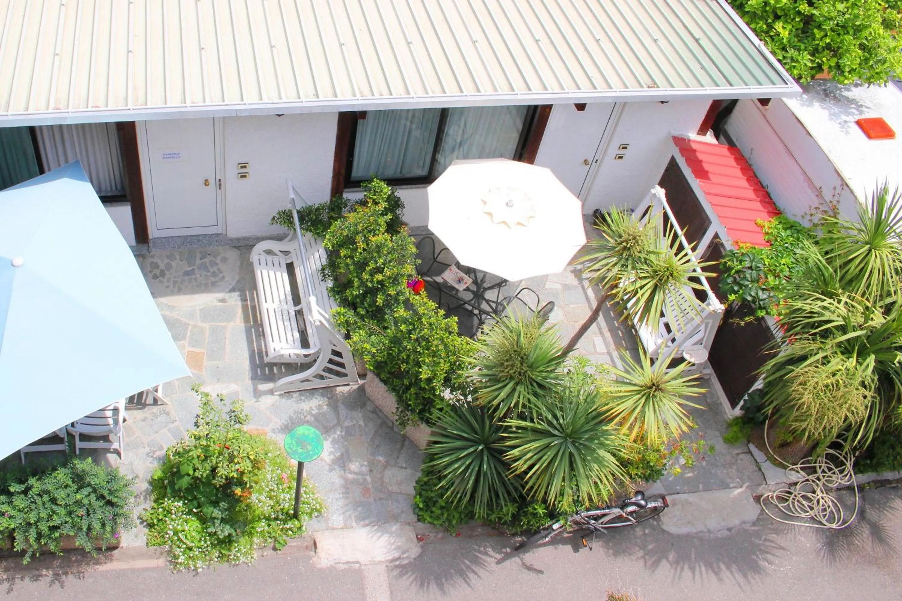 Garden in Hotel Delle Rose