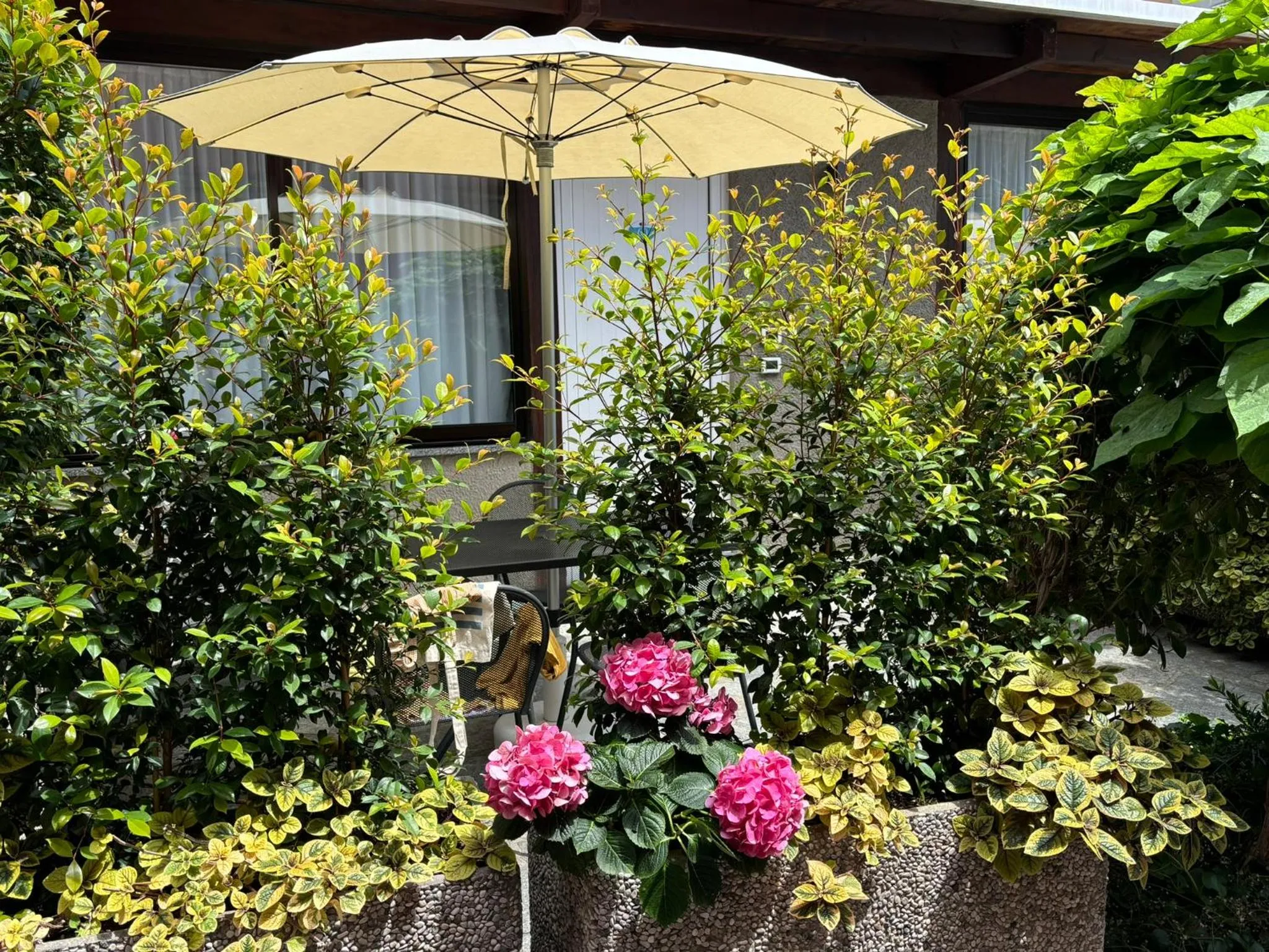 Garden in Hotel Delle Rose