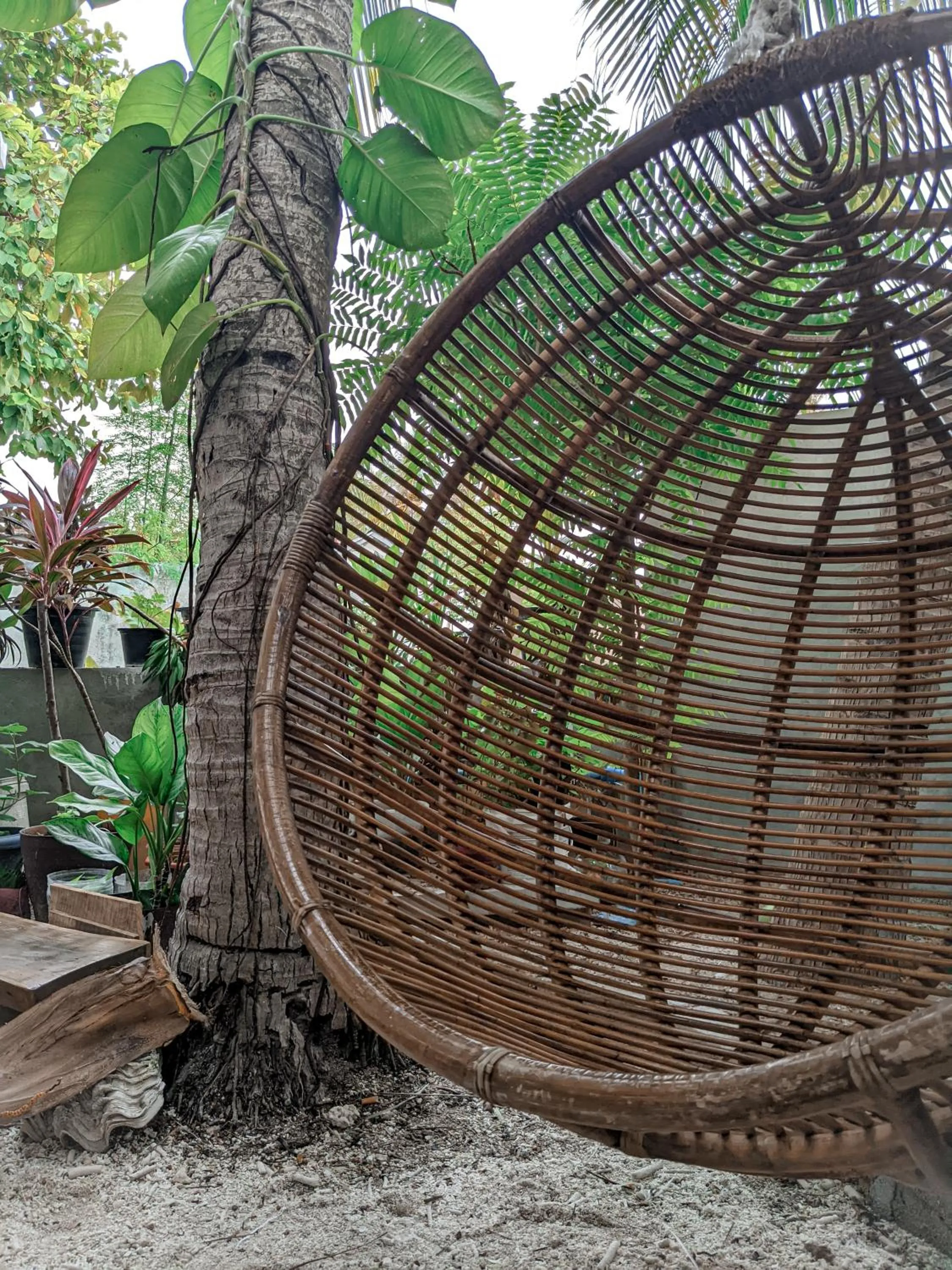 Garden in Dhoadhi Retreat