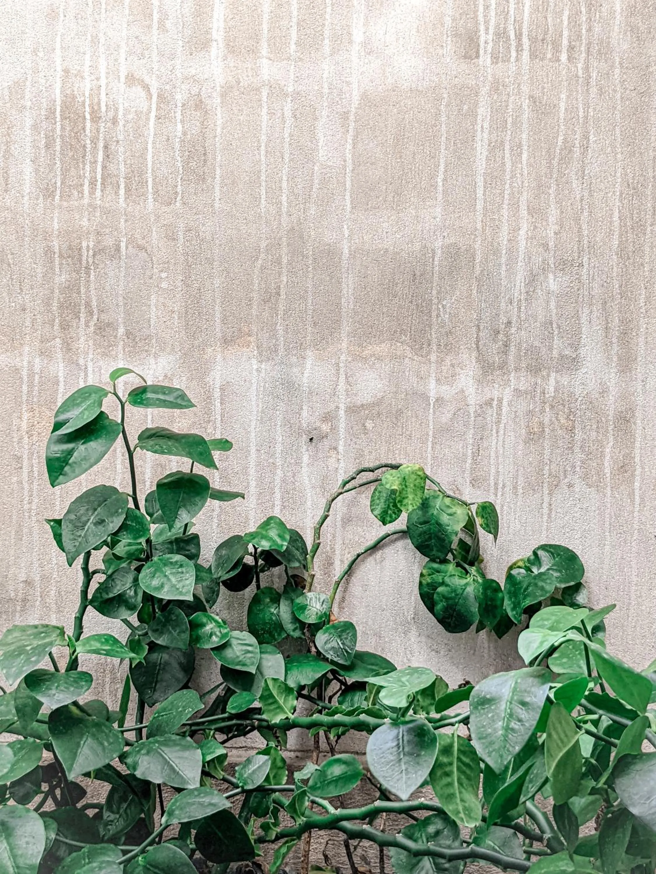 Bathroom in Dhoadhi Retreat