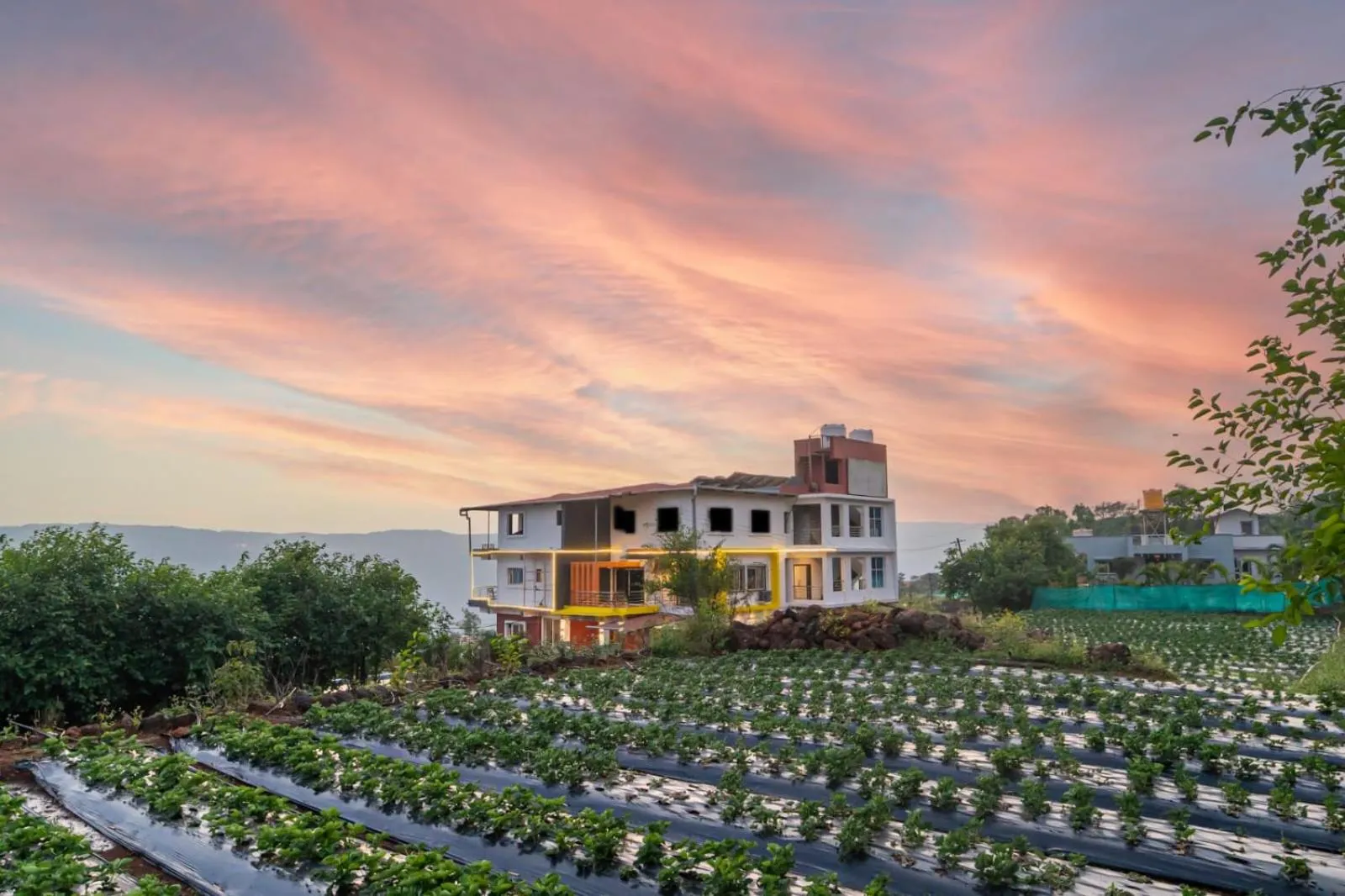 Property building in Strawberry King Resort