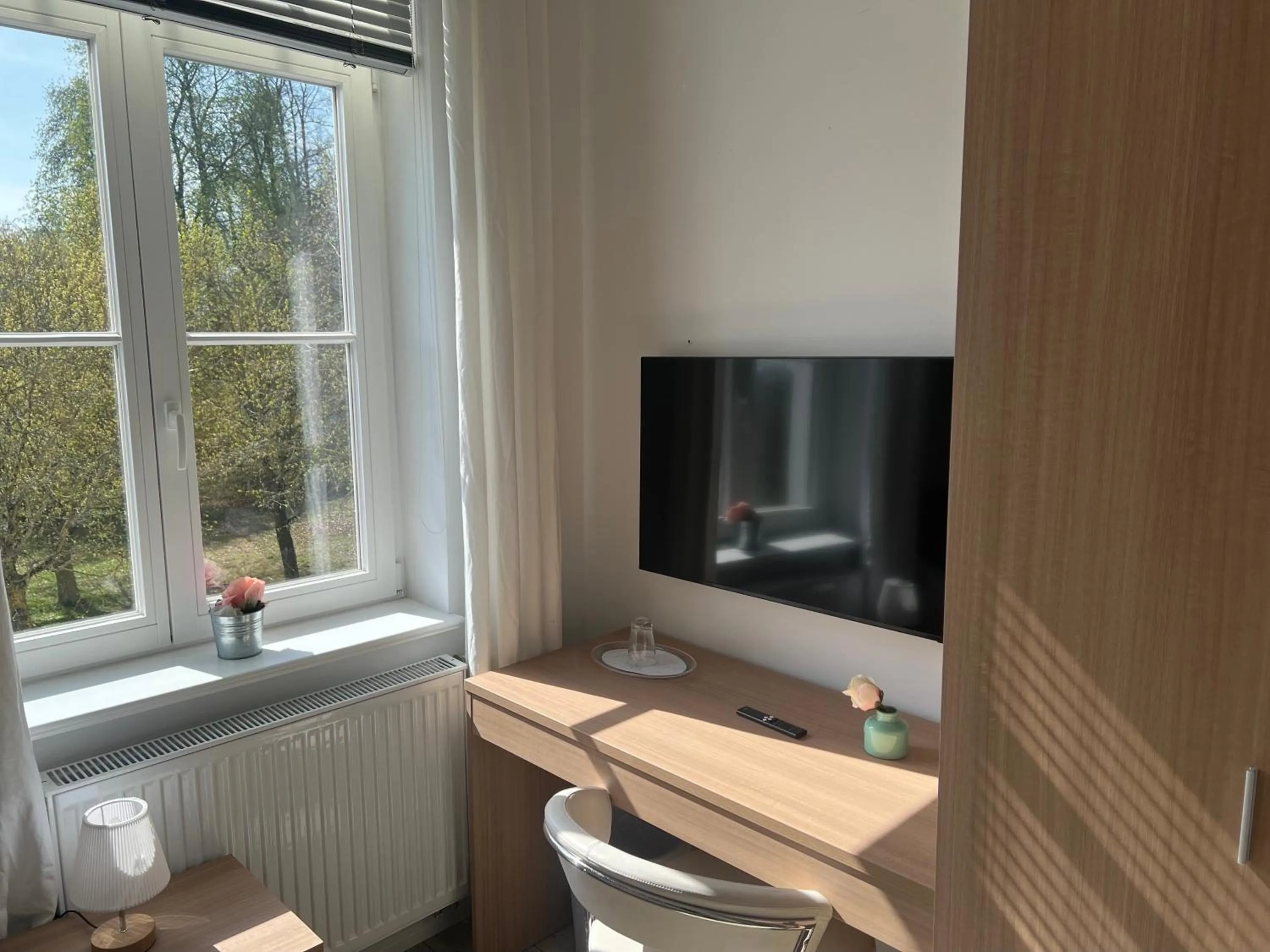 TV and multimedia in Hotel am Theater