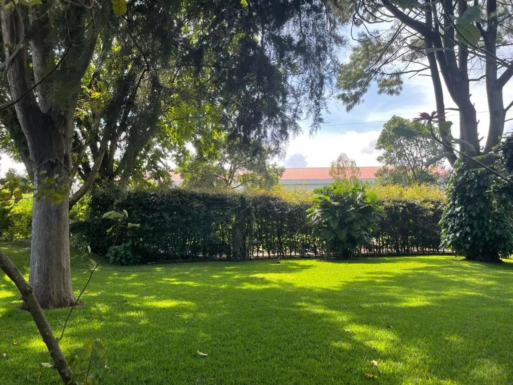 Garden in Hotel Tiosh Abaj
