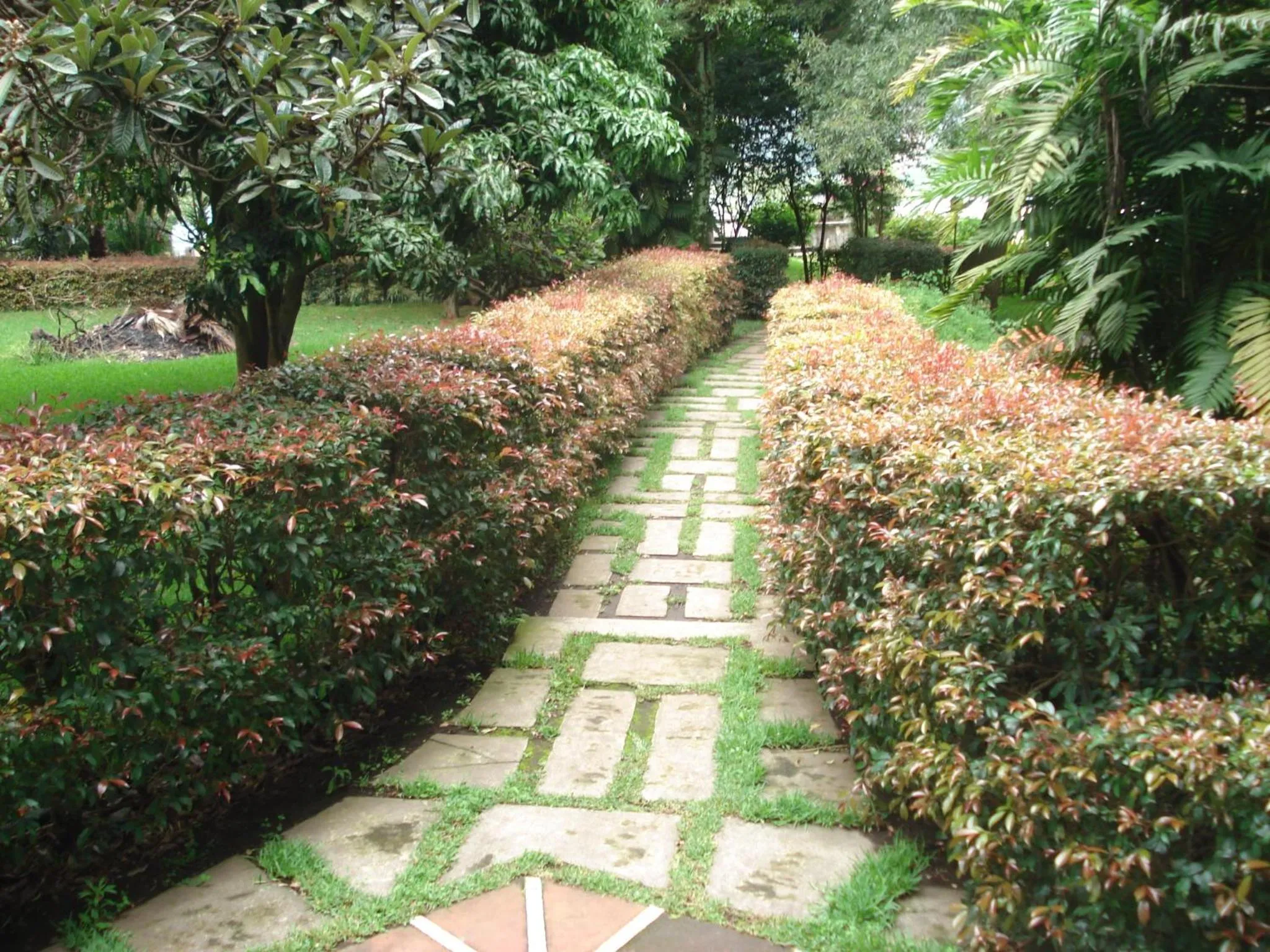 Natural landscape in Hotel Tiosh Abaj