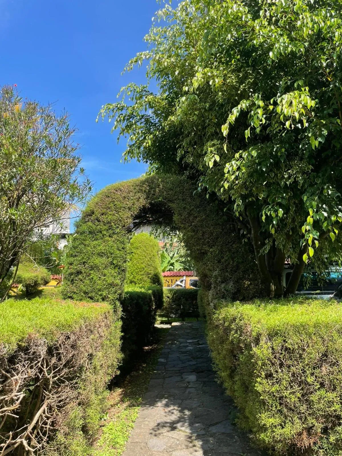 Garden in Hotel Tiosh Abaj