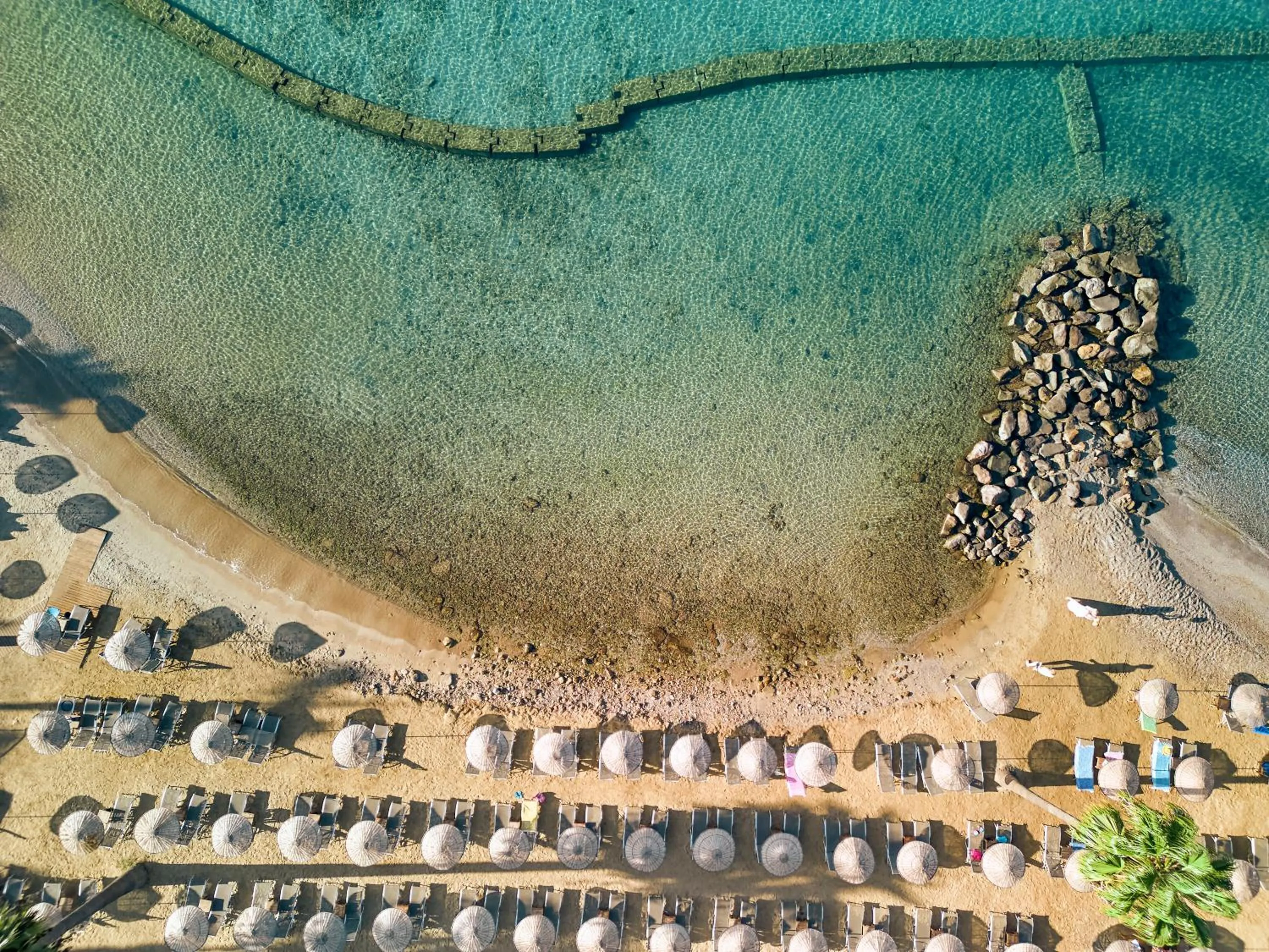 Day in TUI MAGIC LIFE Bodrum - Adults Only