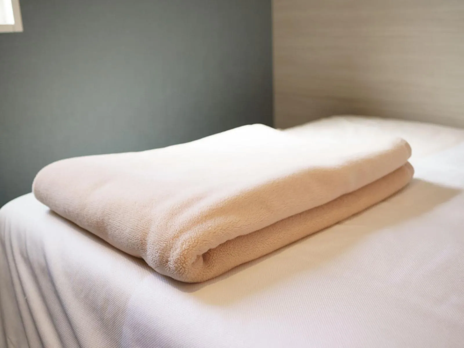 Hot Spring Bath, Bed in Super Hotel Hida Takayama