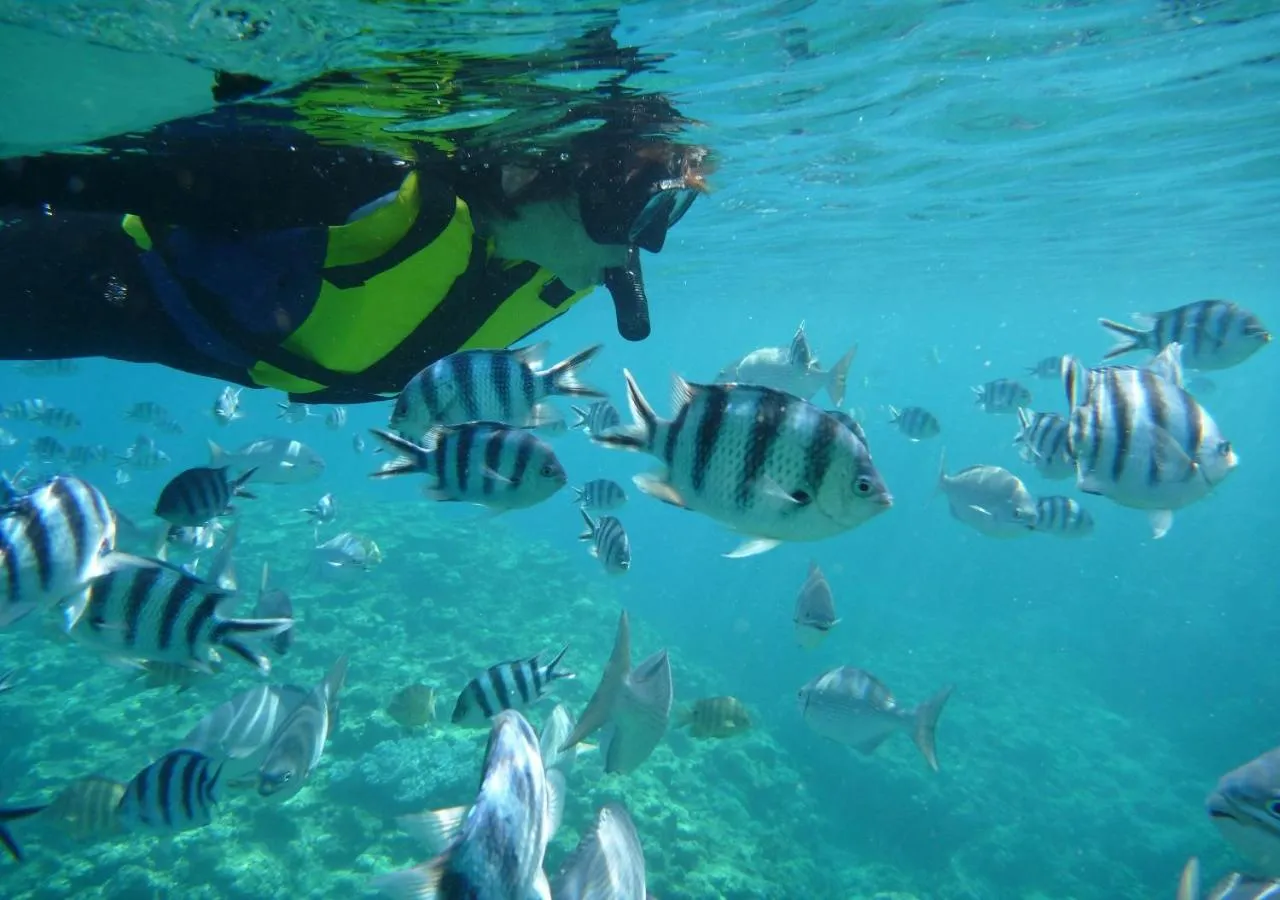 Snorkeling in Hotel Monterey Okinawa Spa & Resort
