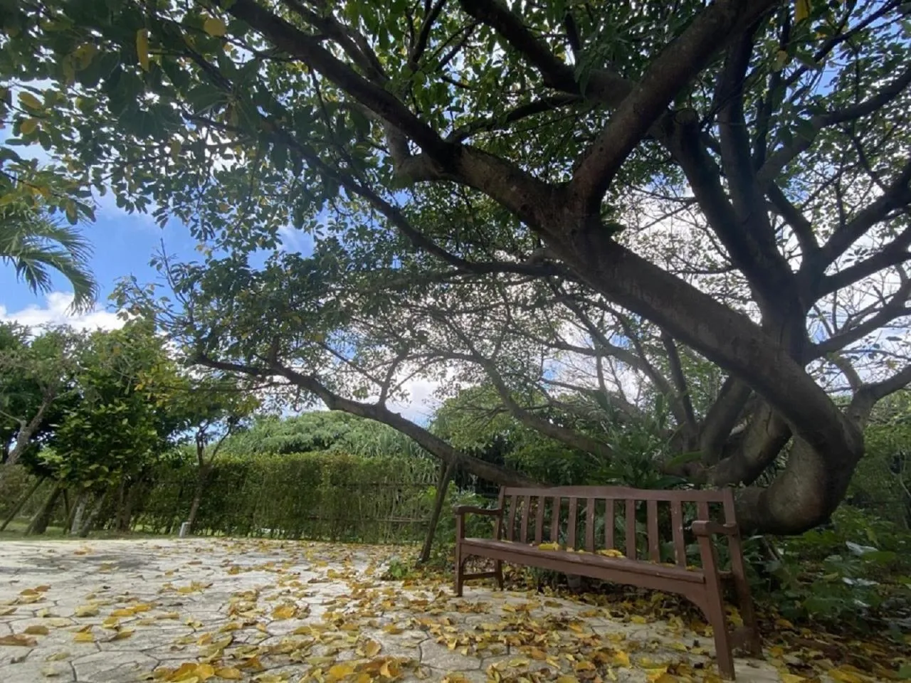 Garden in Hotel Monterey Okinawa Spa & Resort