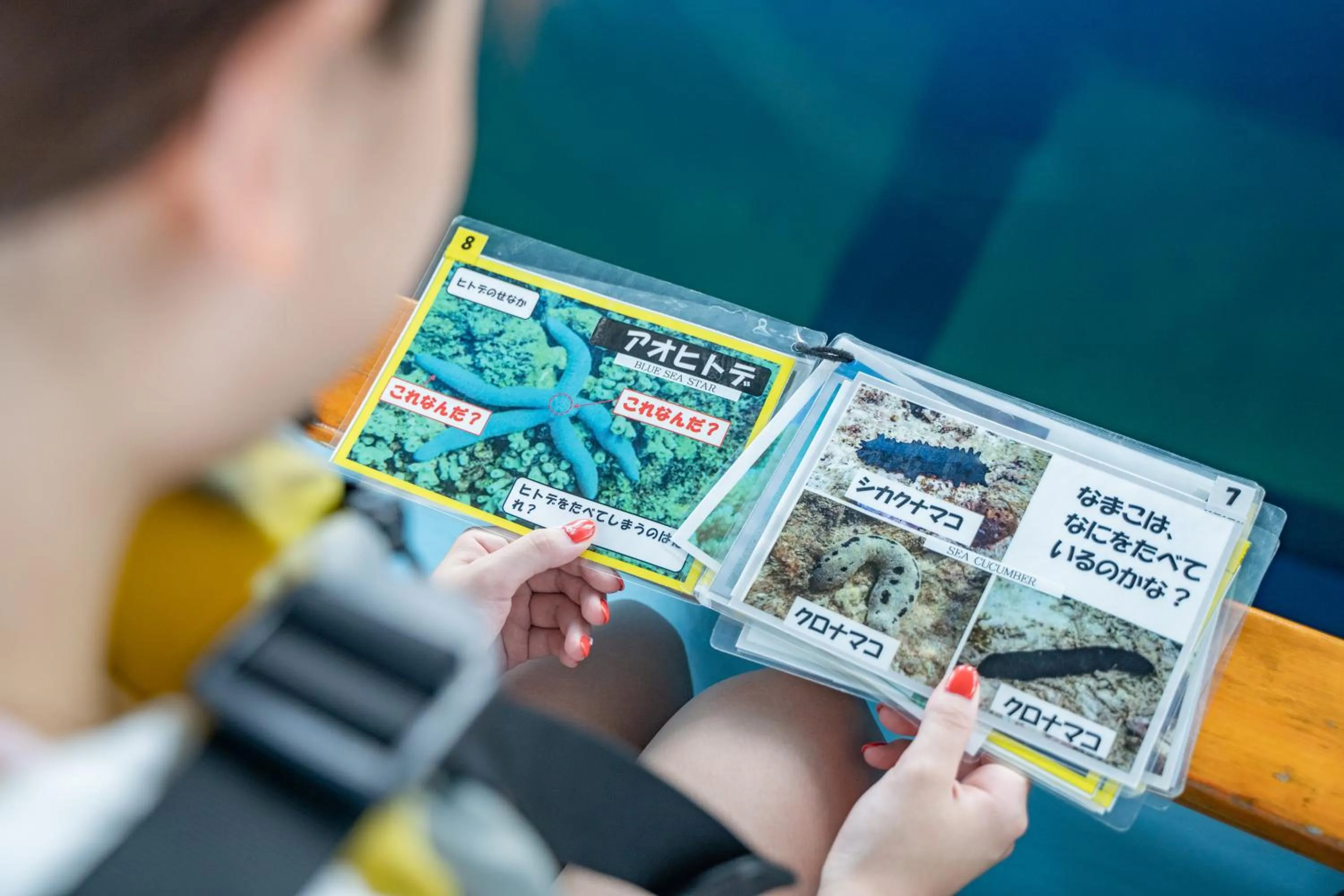 Activities in Hotel Monterey Okinawa Spa & Resort