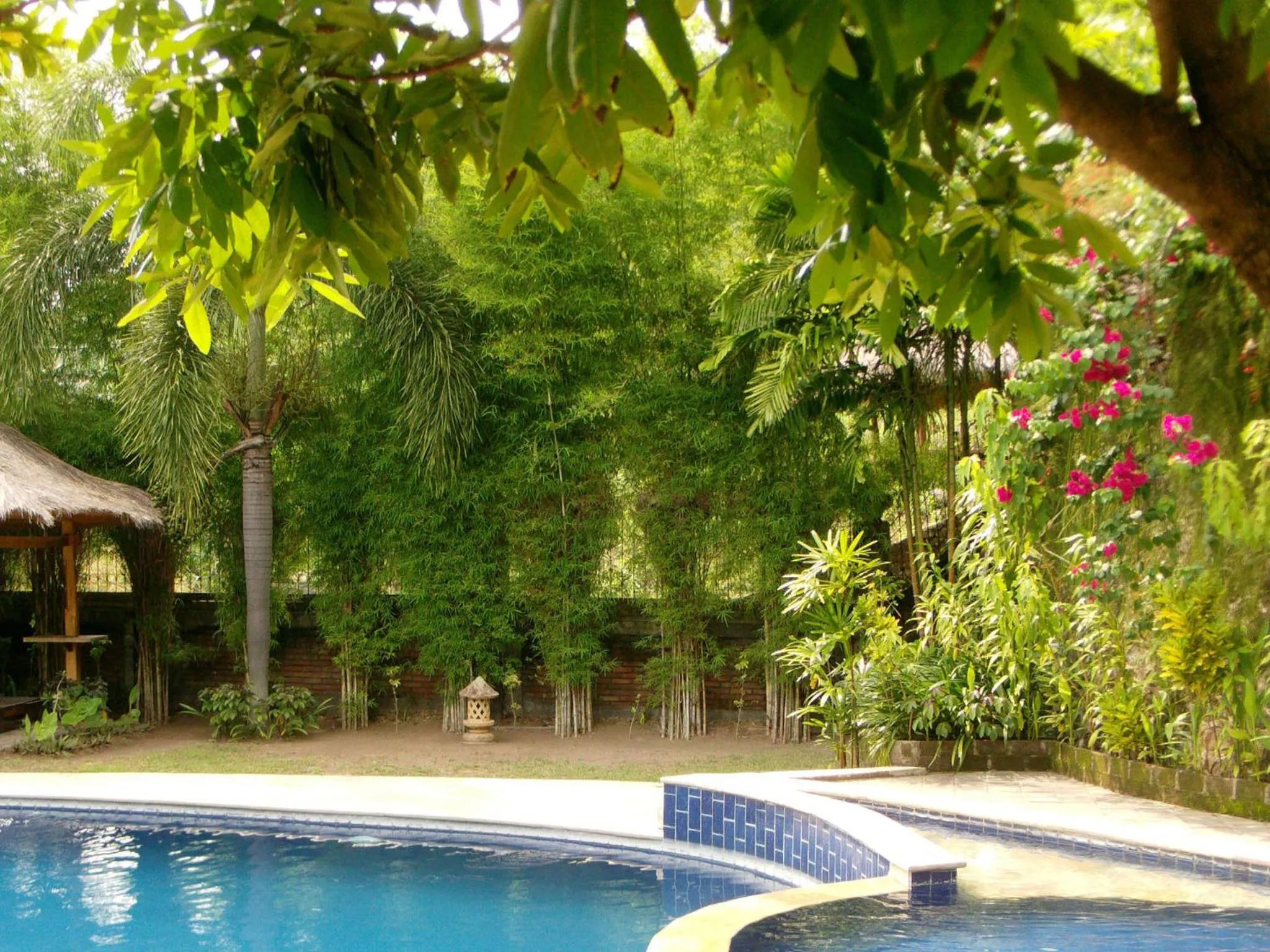 Garden in Sunset Villa