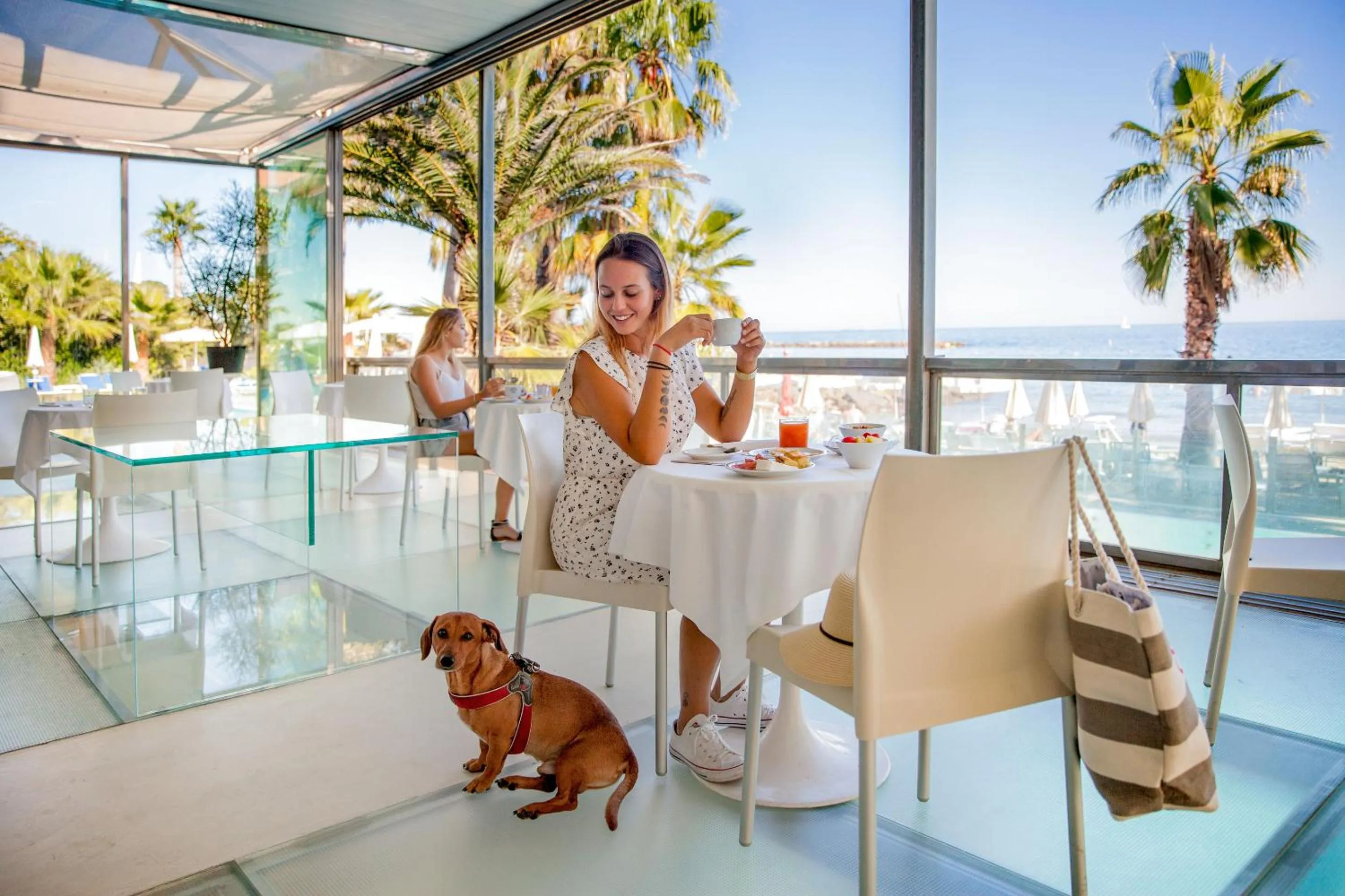 Pets in Hotel Caravelle Thalasso & Wellness